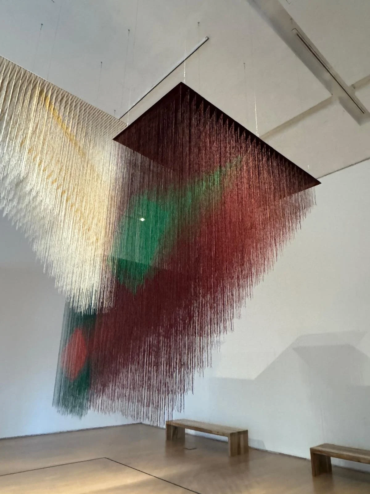 WhatsApp Image 2026-03-14 at 07.01.46.jpeg