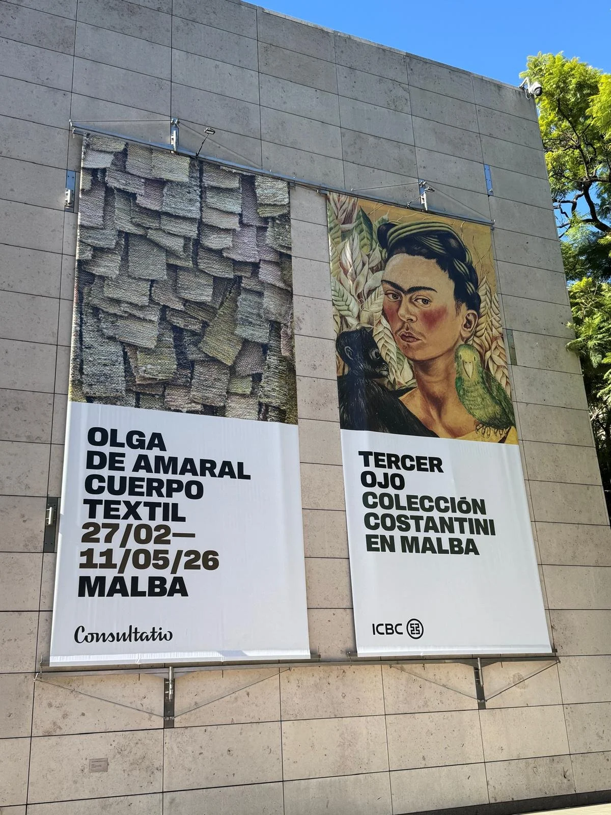 WhatsApp Image 2026-03-14 at 07.01.45.jpeg