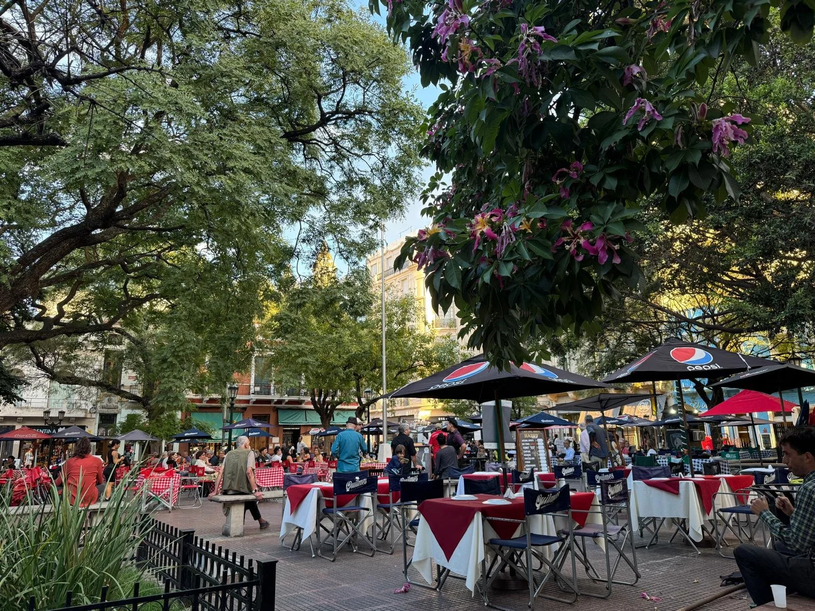 WhatsApp Image 2026-03-14 at 07.06.08.jpeg