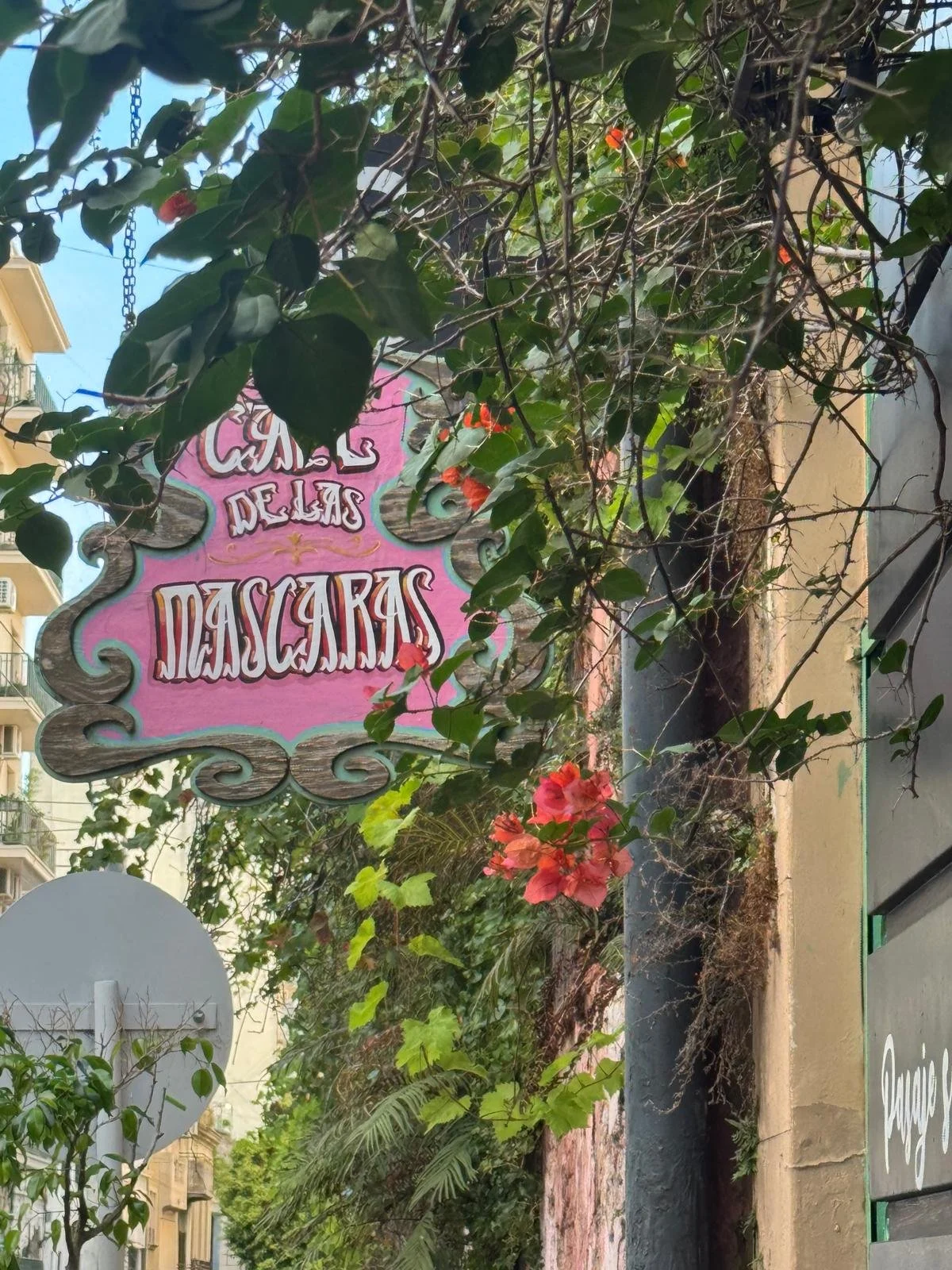 WhatsApp Image 2026-03-14 at 07.06.10 (1).jpeg