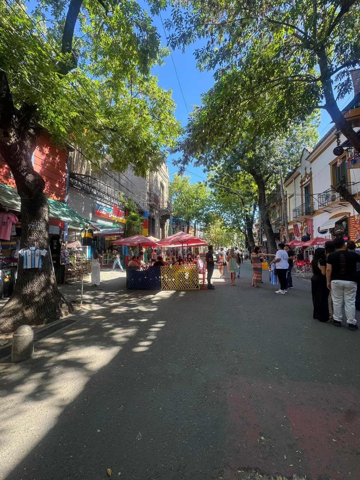 WhatsApp Image 2026-03-14 at 07.18.31.jpeg