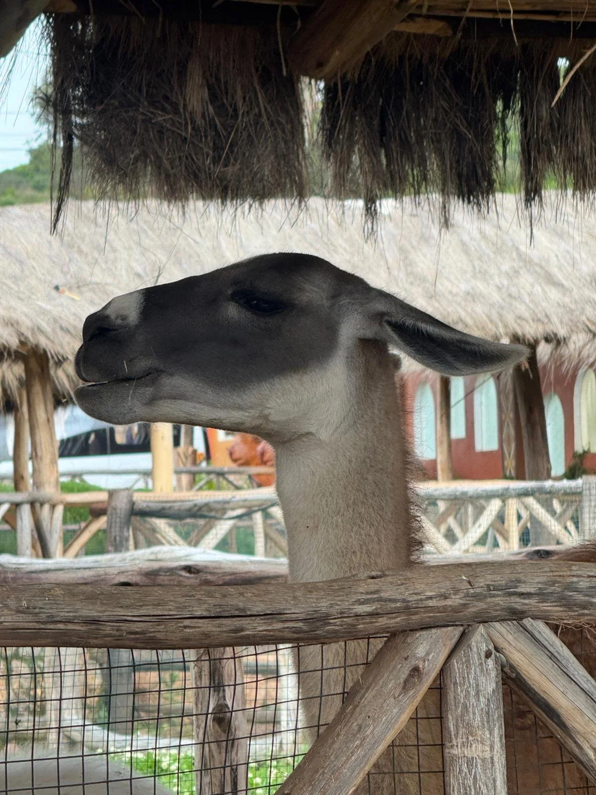 WhatsApp Image 2026-03-15 at 12.24.14 (5).jpeg