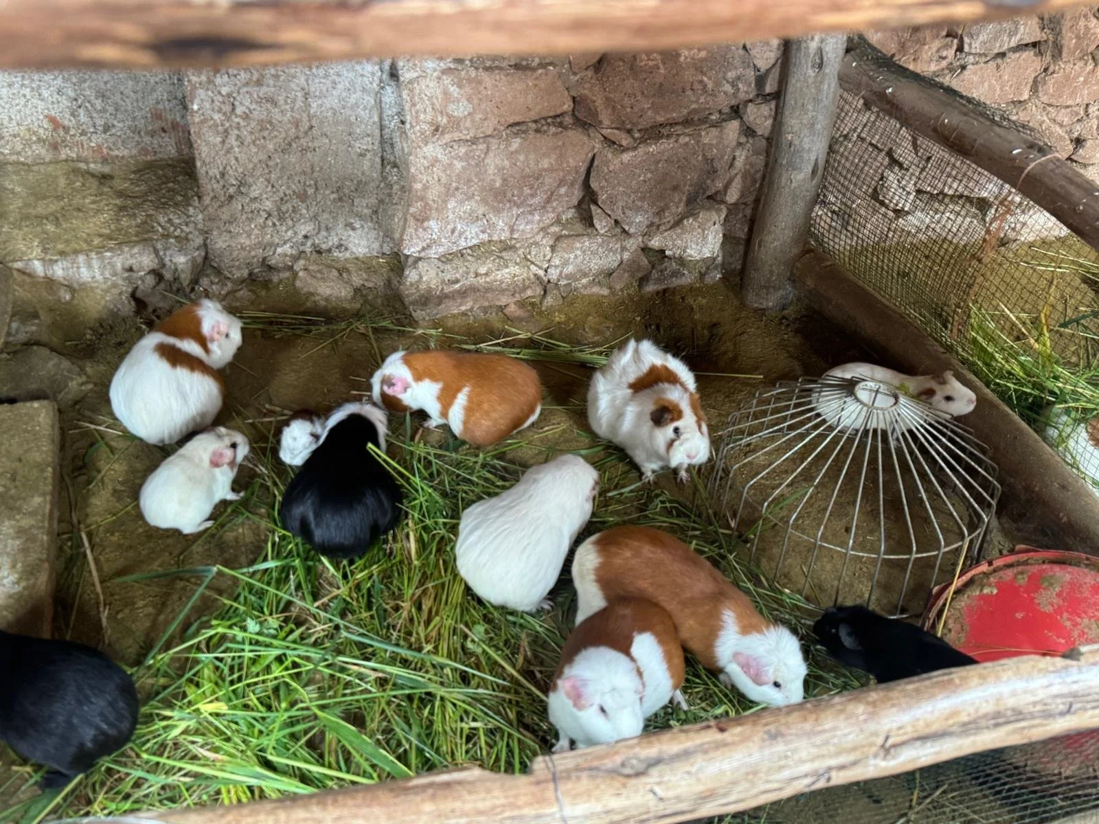 WhatsApp Image 2026-03-15 at 12.24.14 (2).jpeg