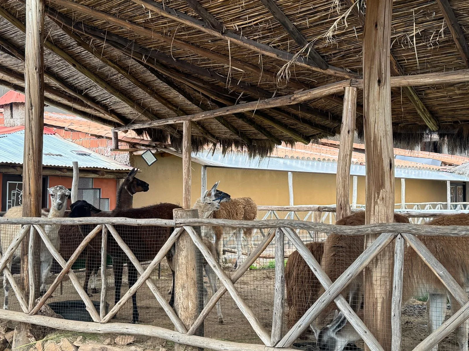 WhatsApp Image 2026-03-15 at 12.24.14 (3).jpeg