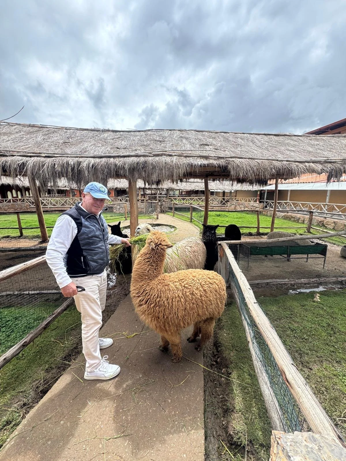 WhatsApp Image 2026-03-15 at 12.24.13.jpeg