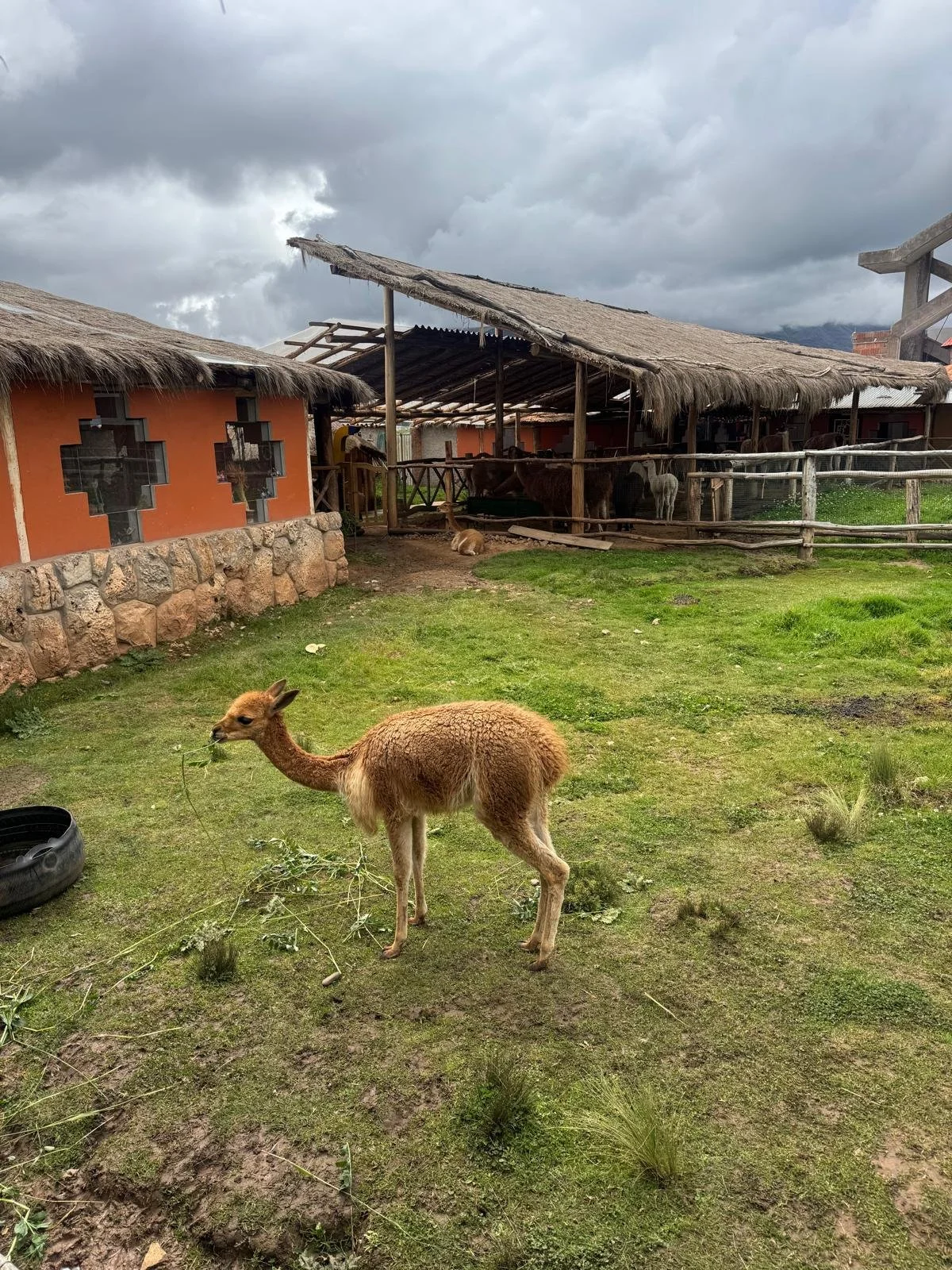 WhatsApp Image 2026-03-15 at 12.24.14 (1).jpeg