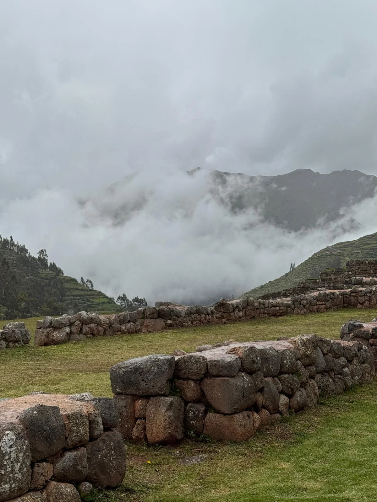 WhatsApp Image 2026-03-15 at 12.27.23 (4).jpeg