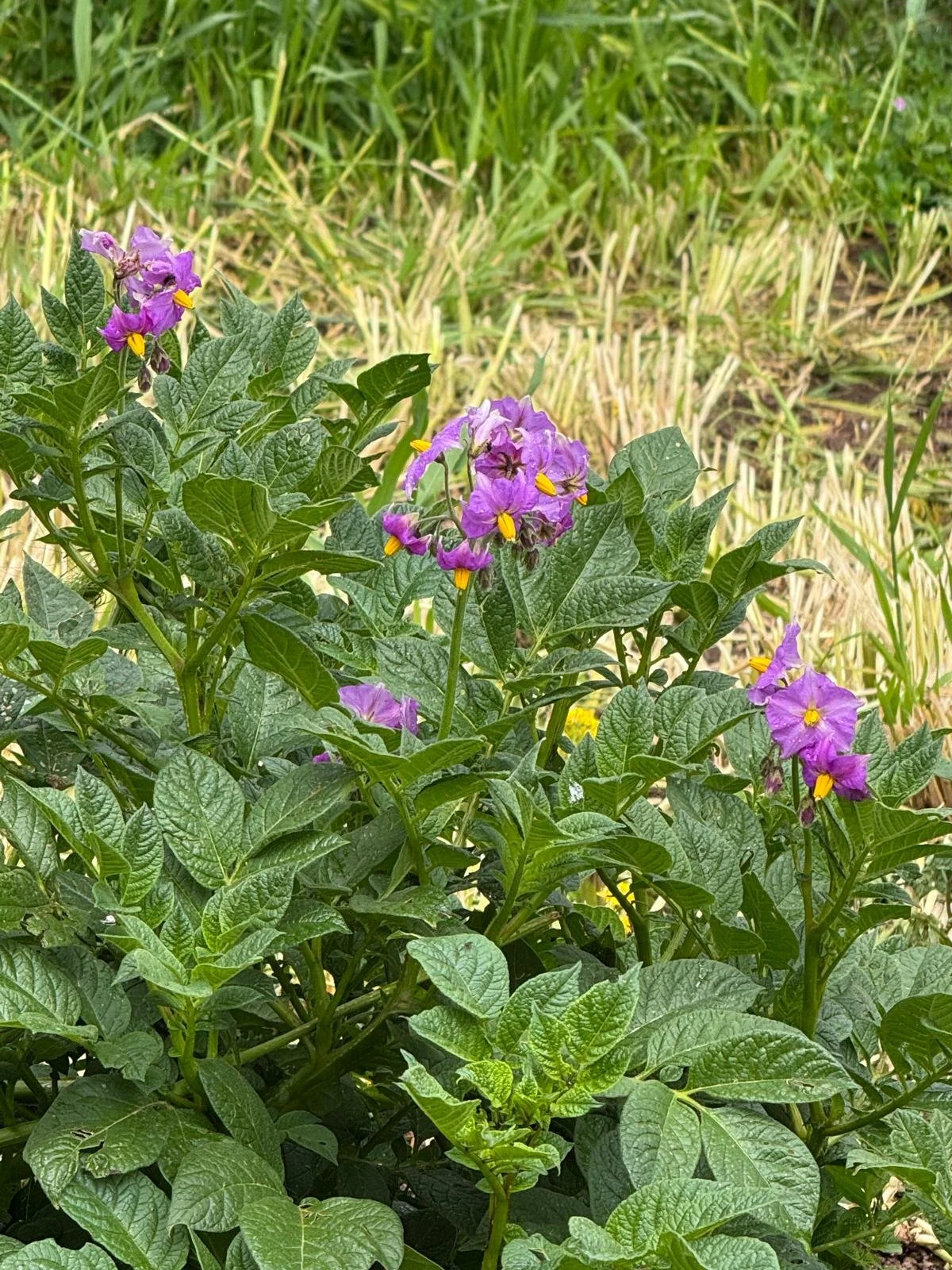 WhatsApp Image 2026-03-15 at 12.28.31.jpeg