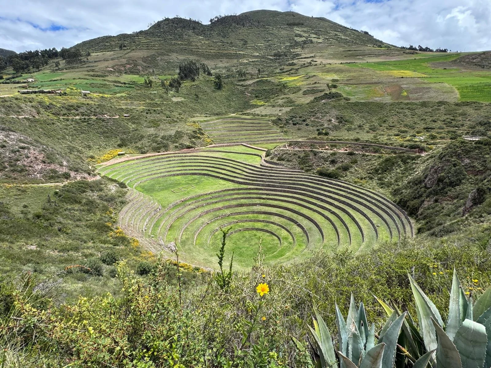 WhatsApp Image 2026-03-15 at 12.28.31 (6).jpeg