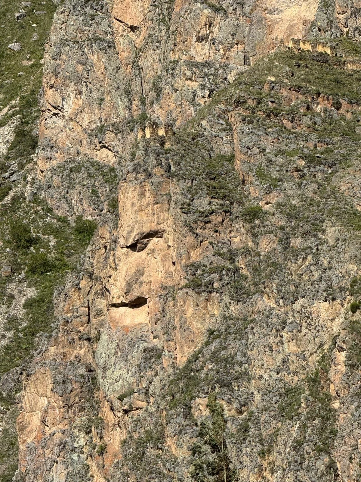 WhatsApp Image 2026-03-15 at 12.30.41 (5).jpeg