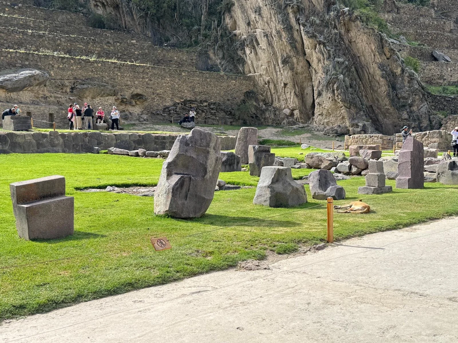 WhatsApp Image 2026-03-15 at 12.30.41 (4).jpeg