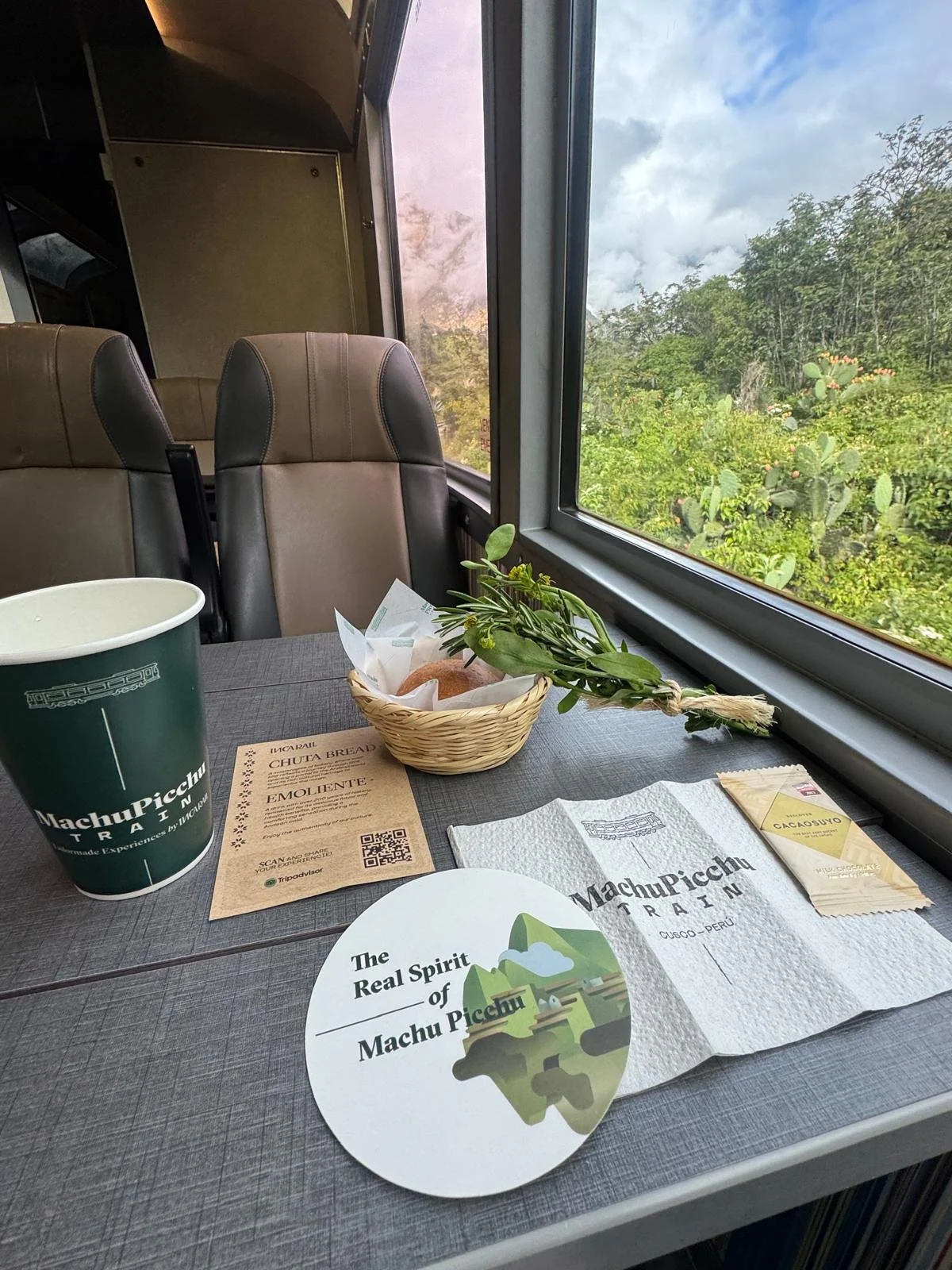 WhatsApp Image 2026-03-16 at 11.50.38.jpeg