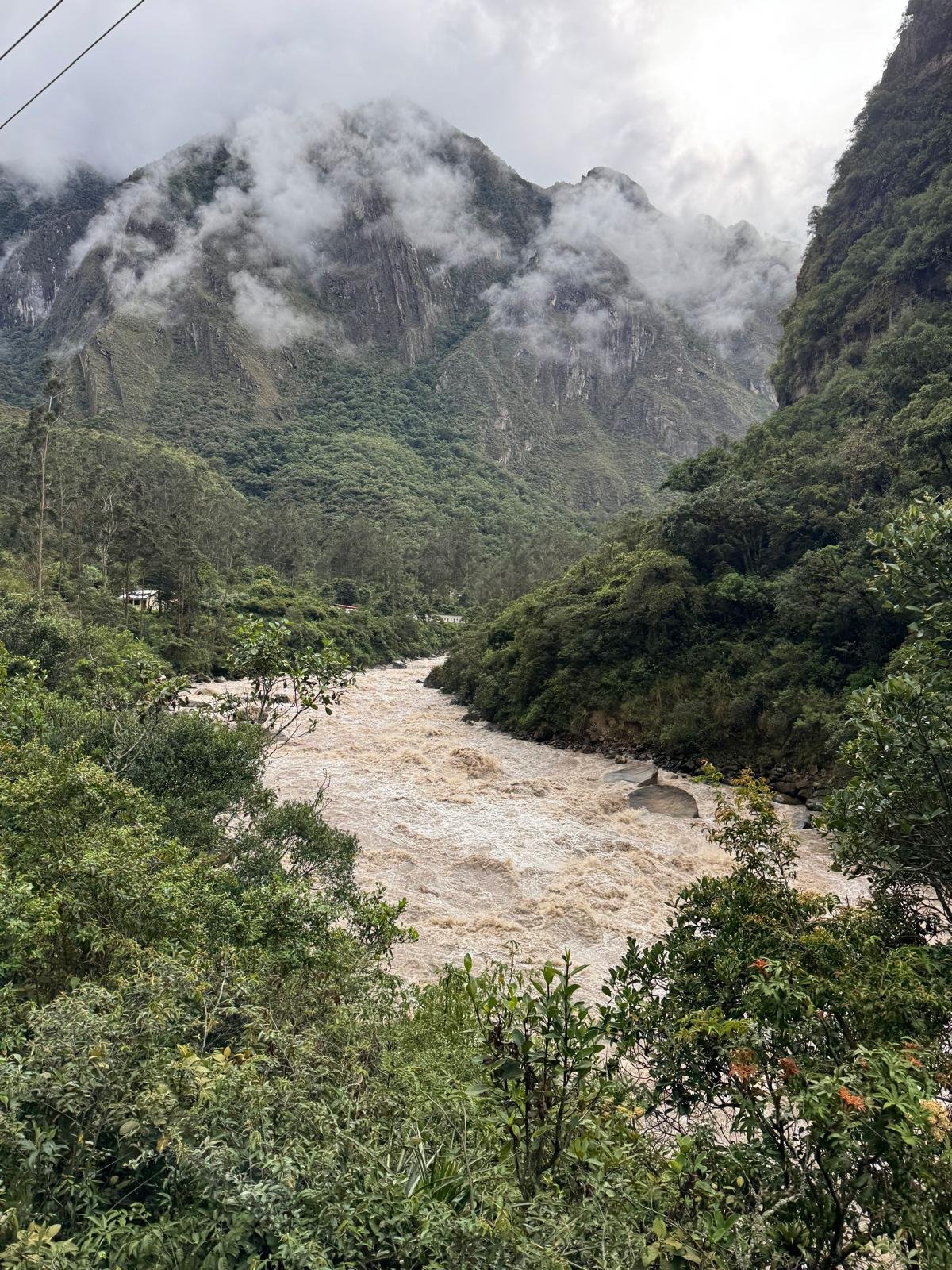 WhatsApp Image 2026-03-16 at 11.50.38 (5).jpeg