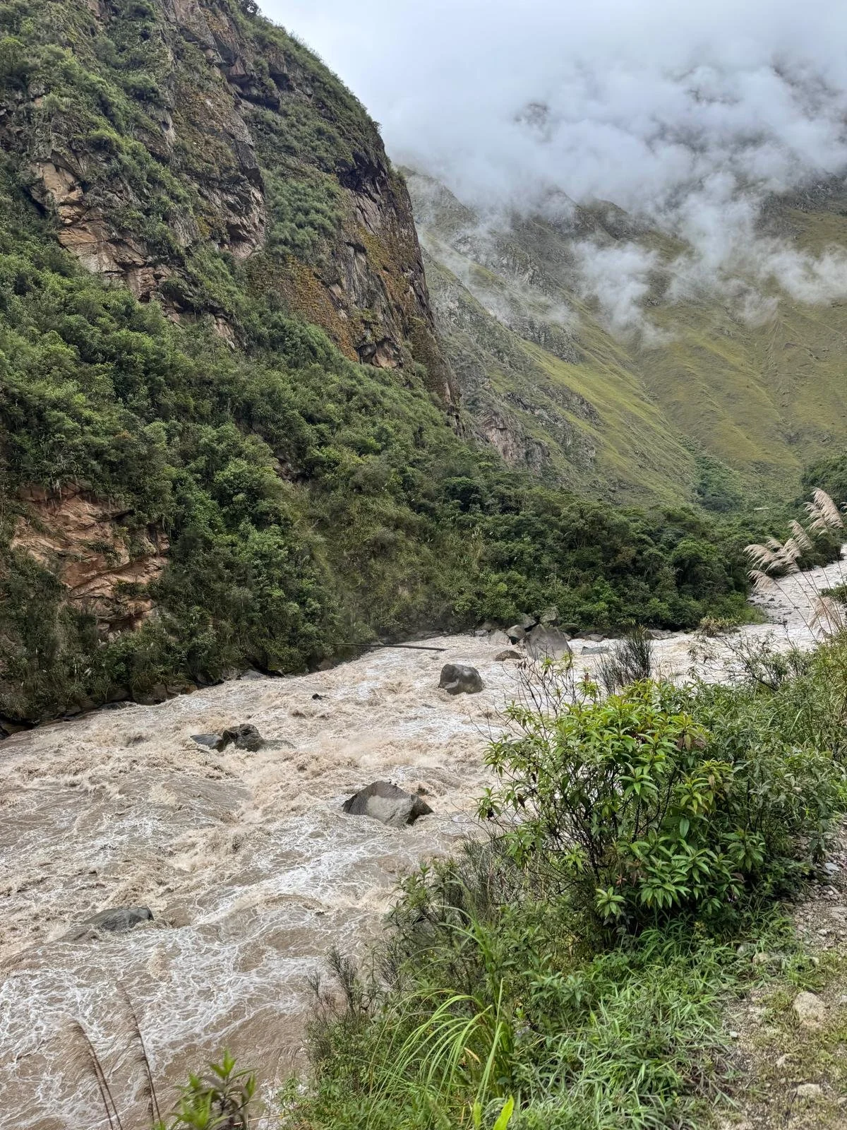 WhatsApp Image 2026-03-16 at 11.50.39.jpeg