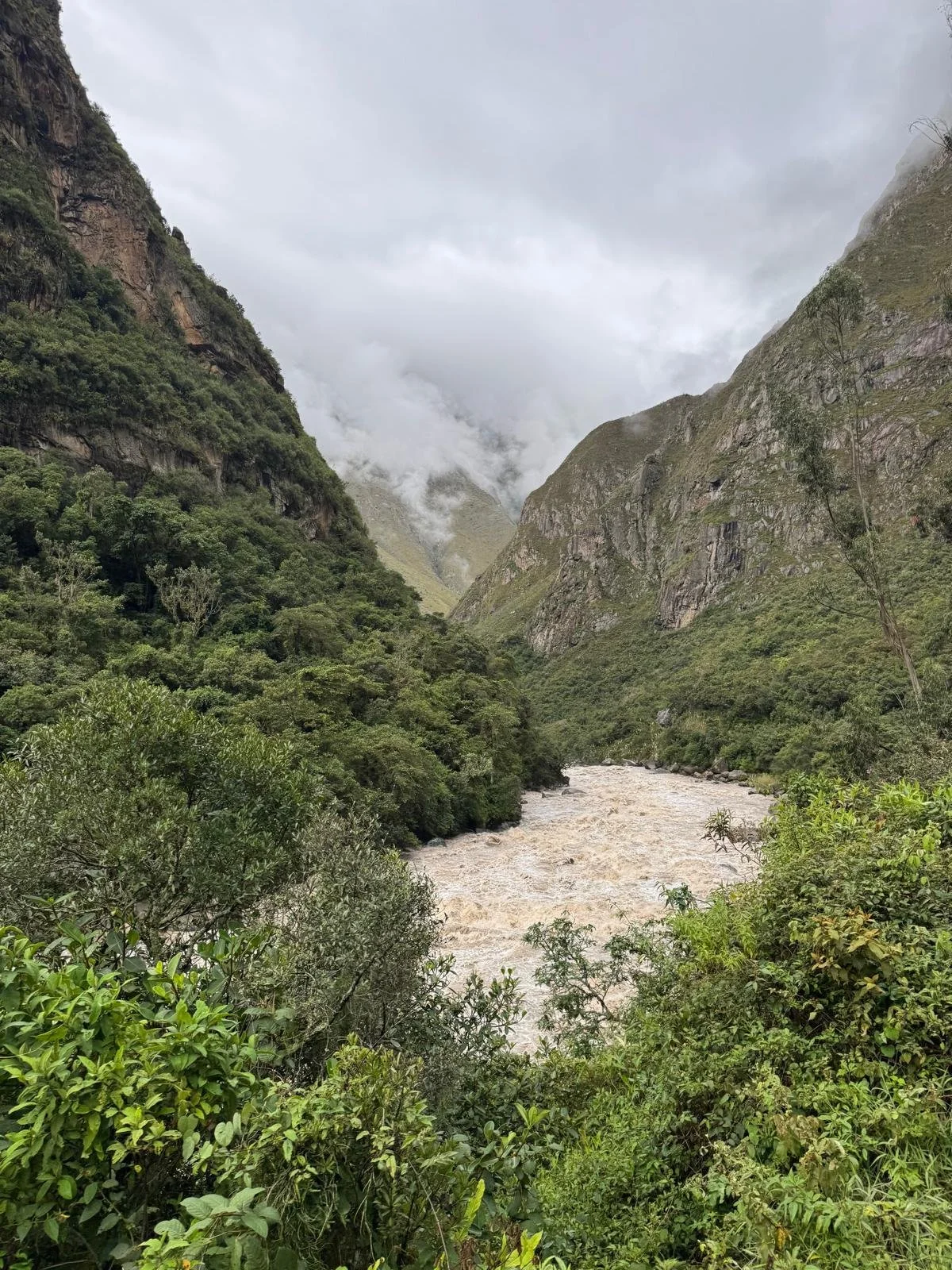 WhatsApp Image 2026-03-16 at 11.50.39 (1).jpeg