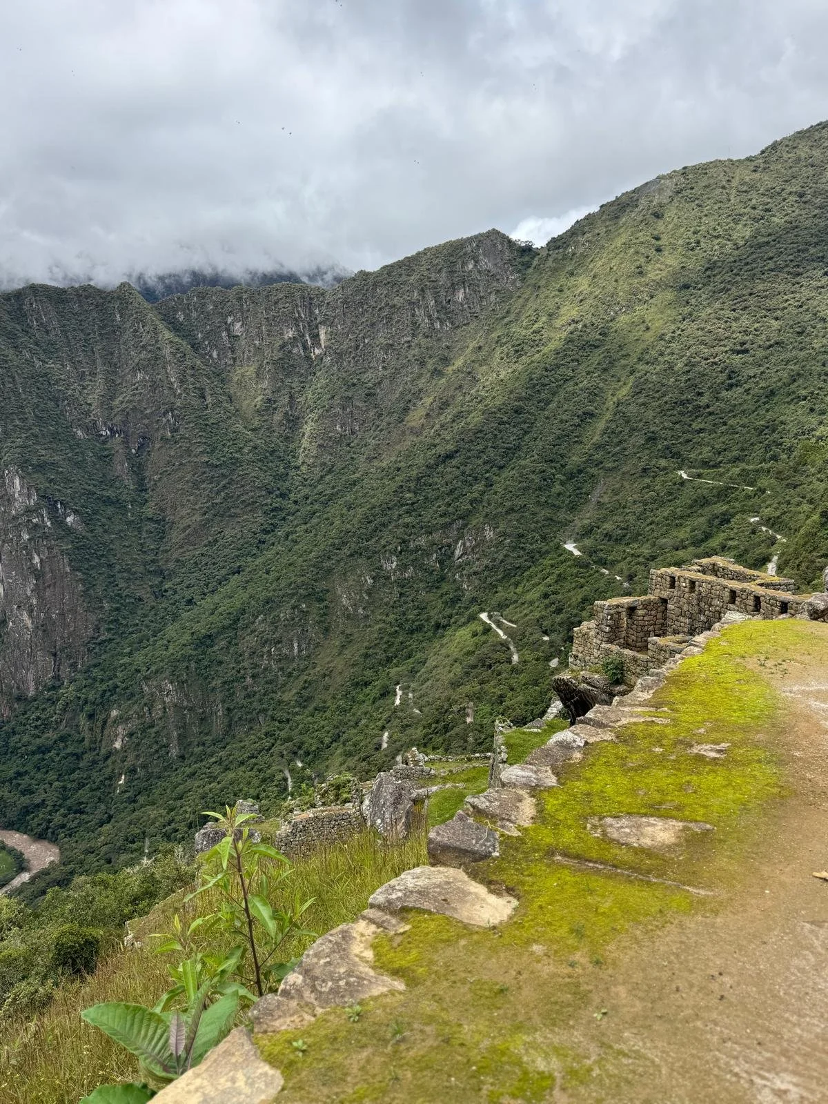 WhatsApp Image 2026-03-16 at 11.51.50.jpeg