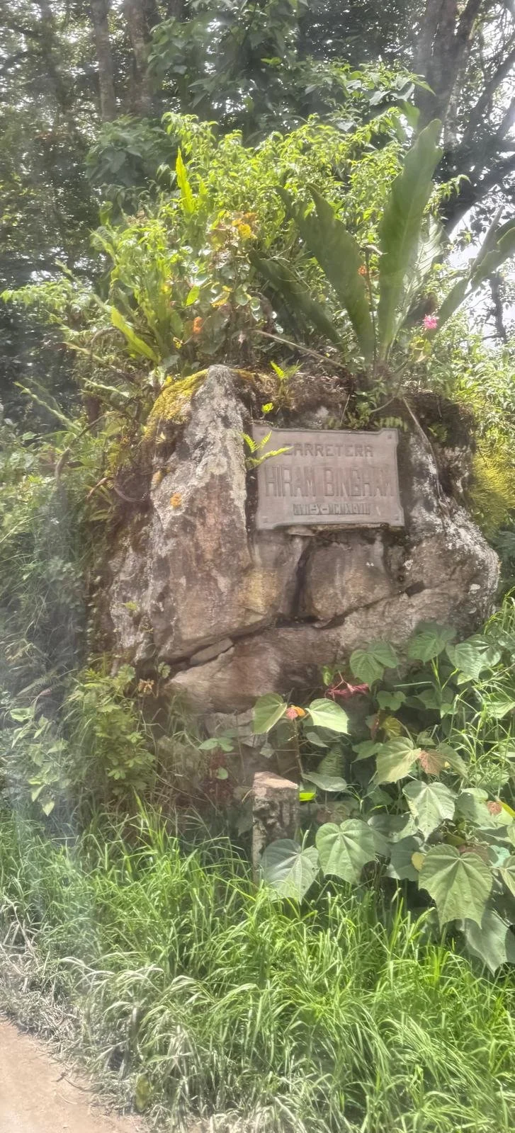 WhatsApp Image 2026-03-16 at 11.54.21.jpeg