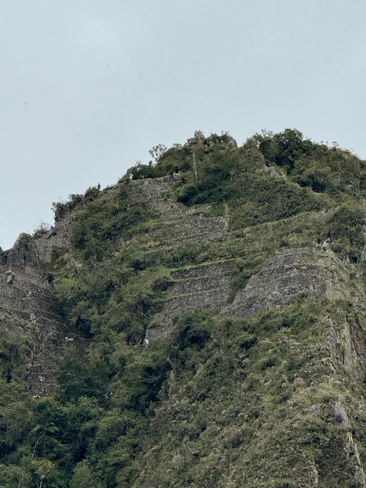 WhatsApp Image 2026-03-16 at 11.59.03 (5).jpeg