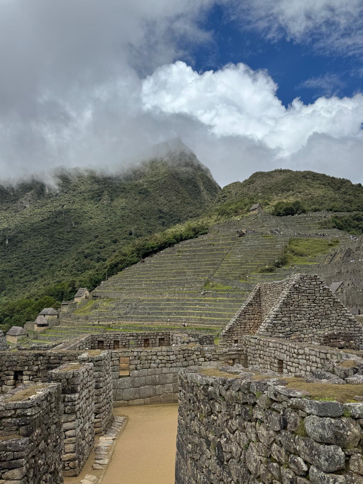 WhatsApp Image 2026-03-16 at 11.59.03 (4).jpeg