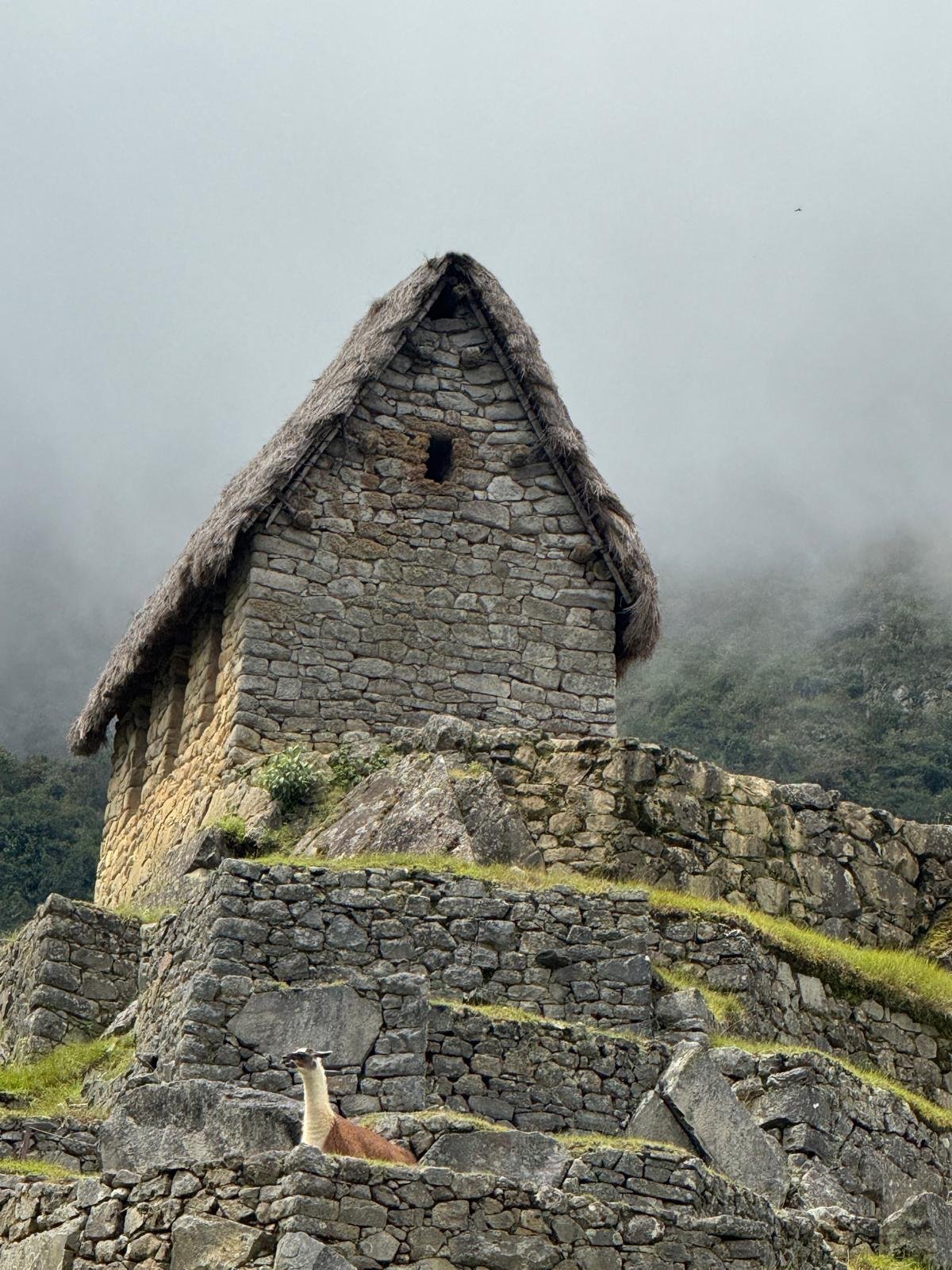 WhatsApp Image 2026-03-16 at 11.59.03 (3).jpeg