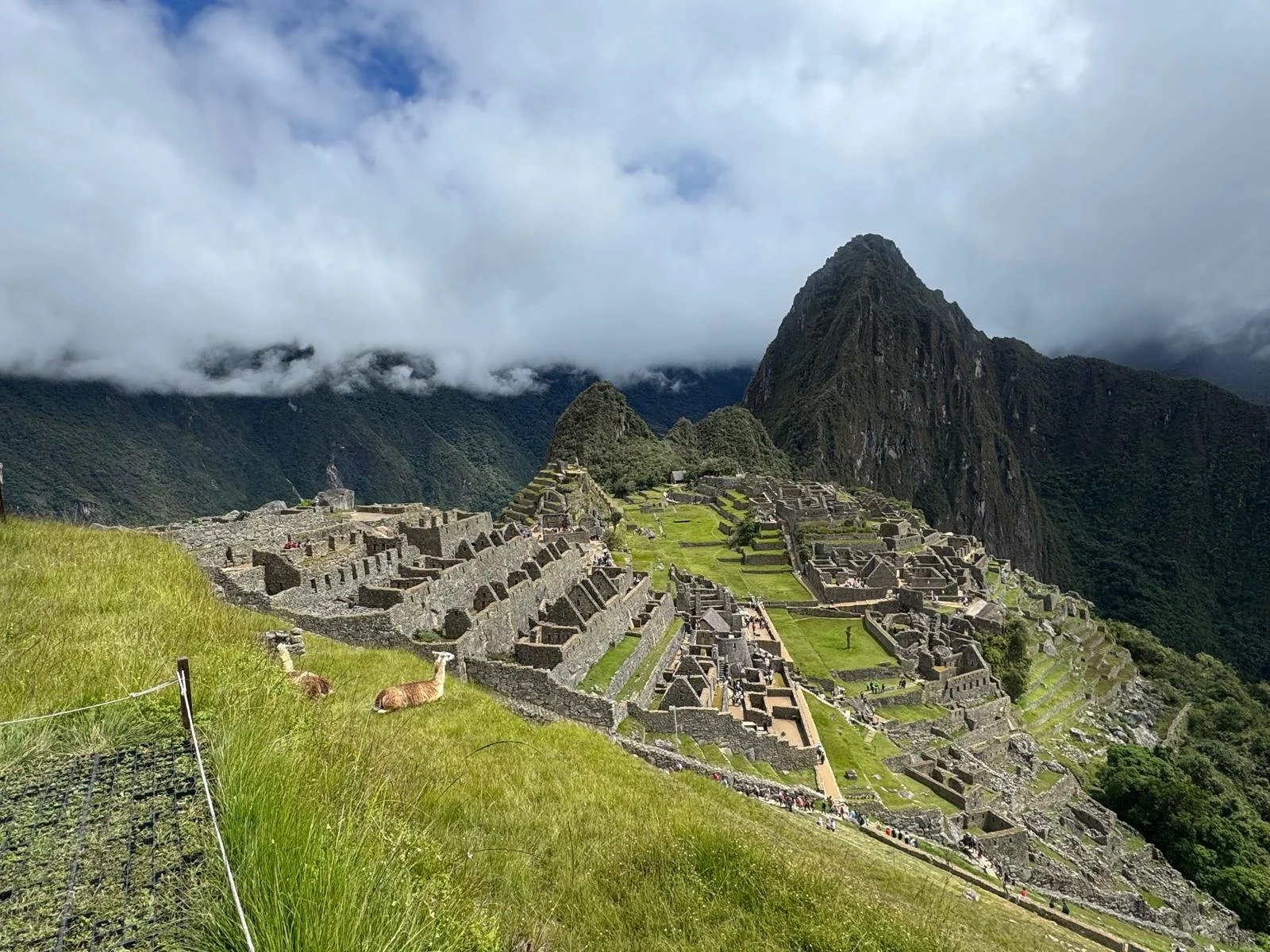 WhatsApp Image 2026-03-16 at 11.59.03 (1).jpeg