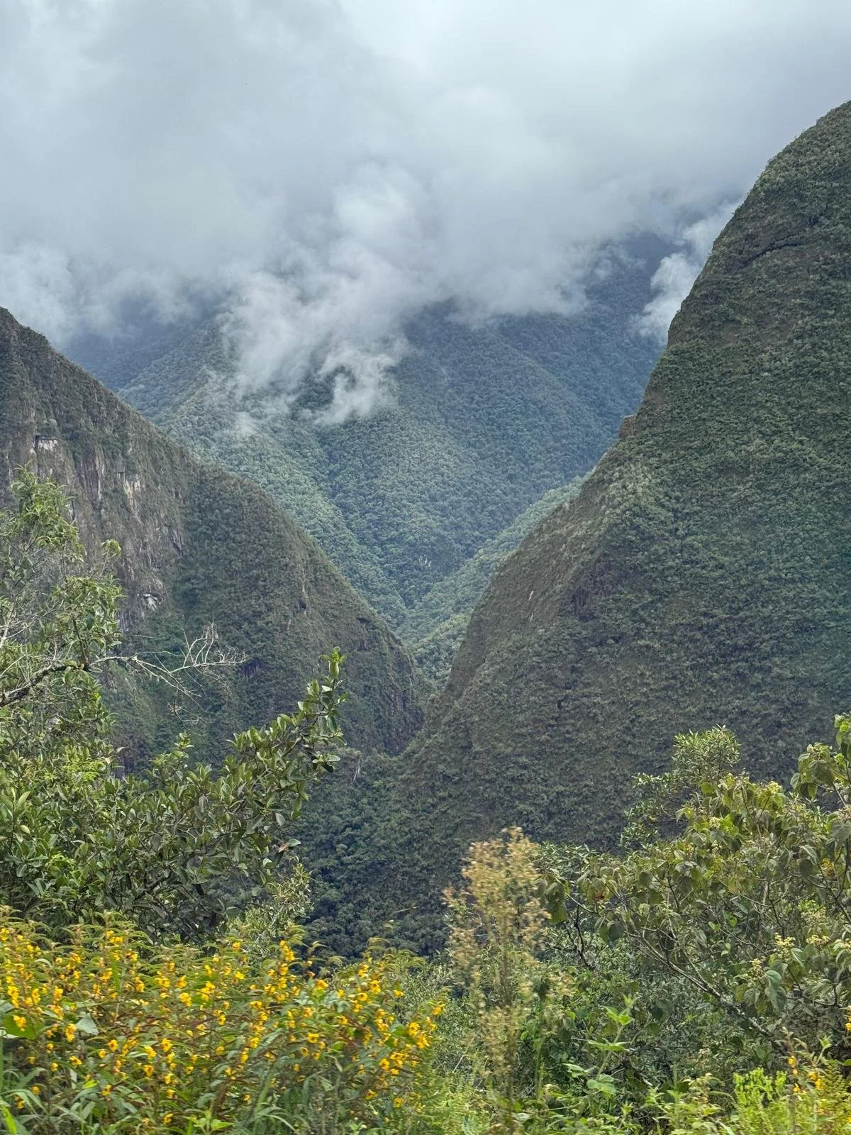 WhatsApp Image 2026-03-16 at 11.59.02 (1).jpeg