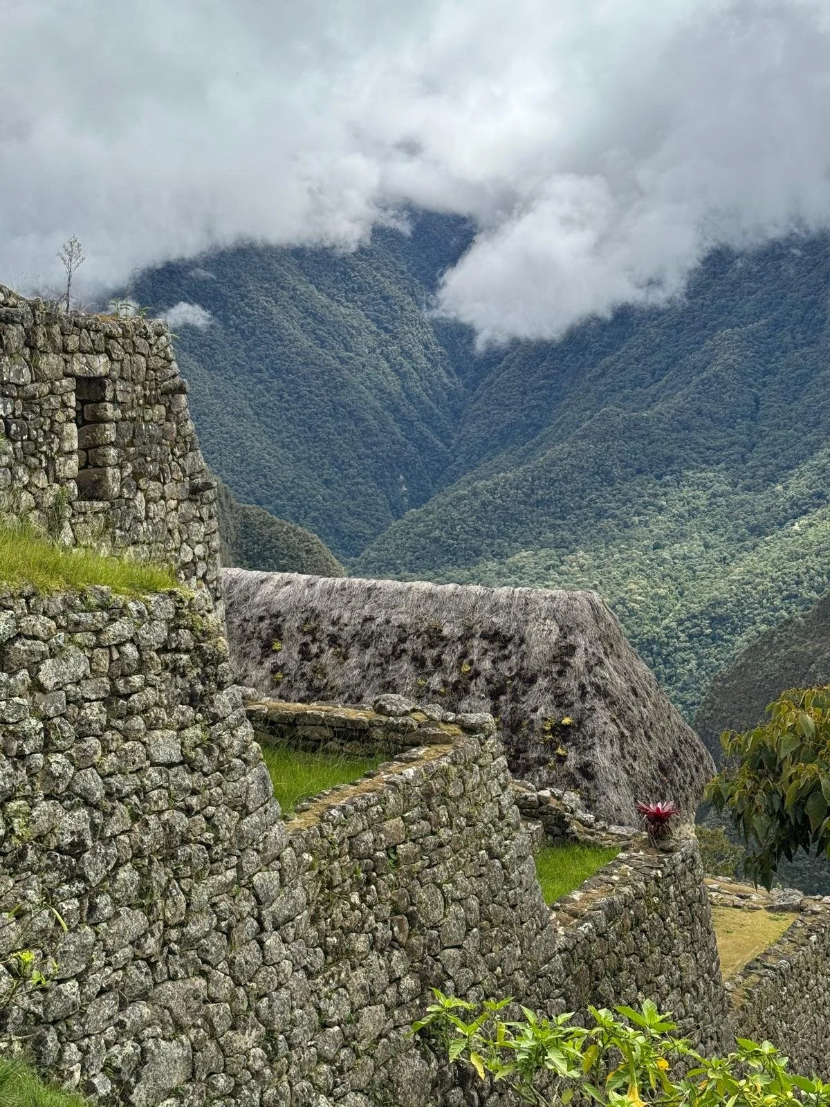 WhatsApp Image 2026-03-16 at 12.02.58 (8).jpeg