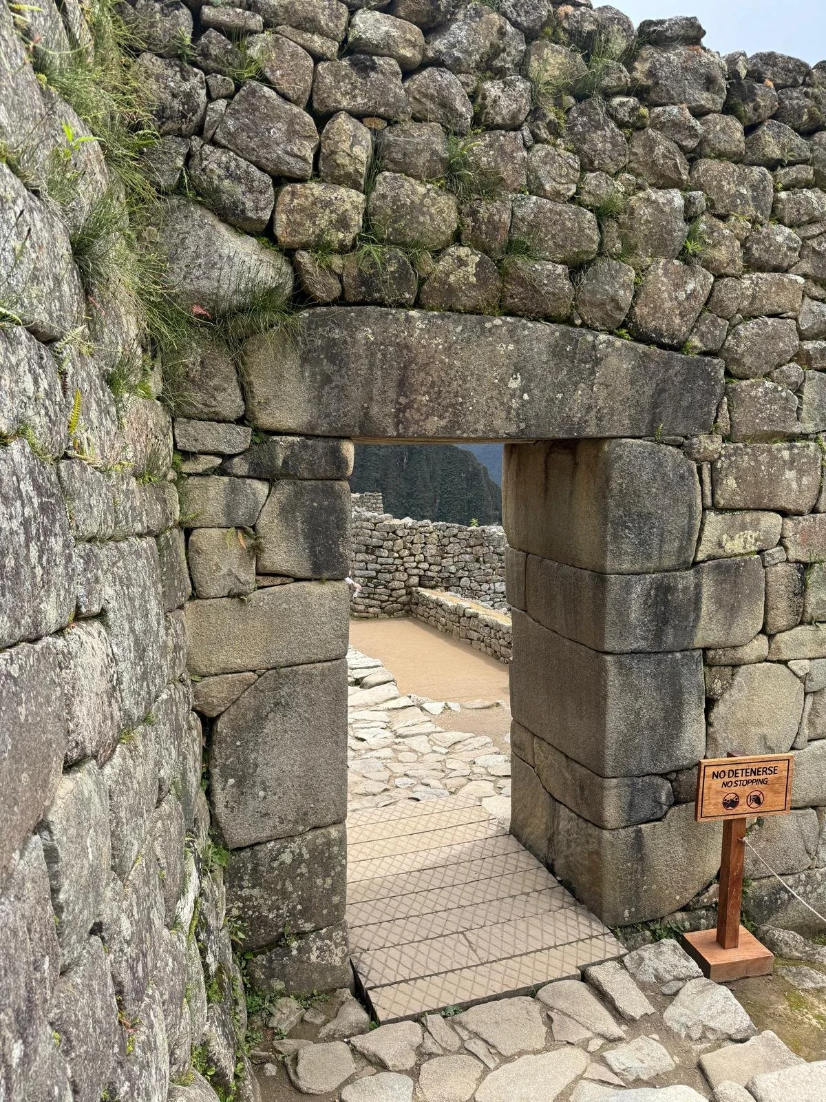 WhatsApp Image 2026-03-16 at 12.02.58.jpeg