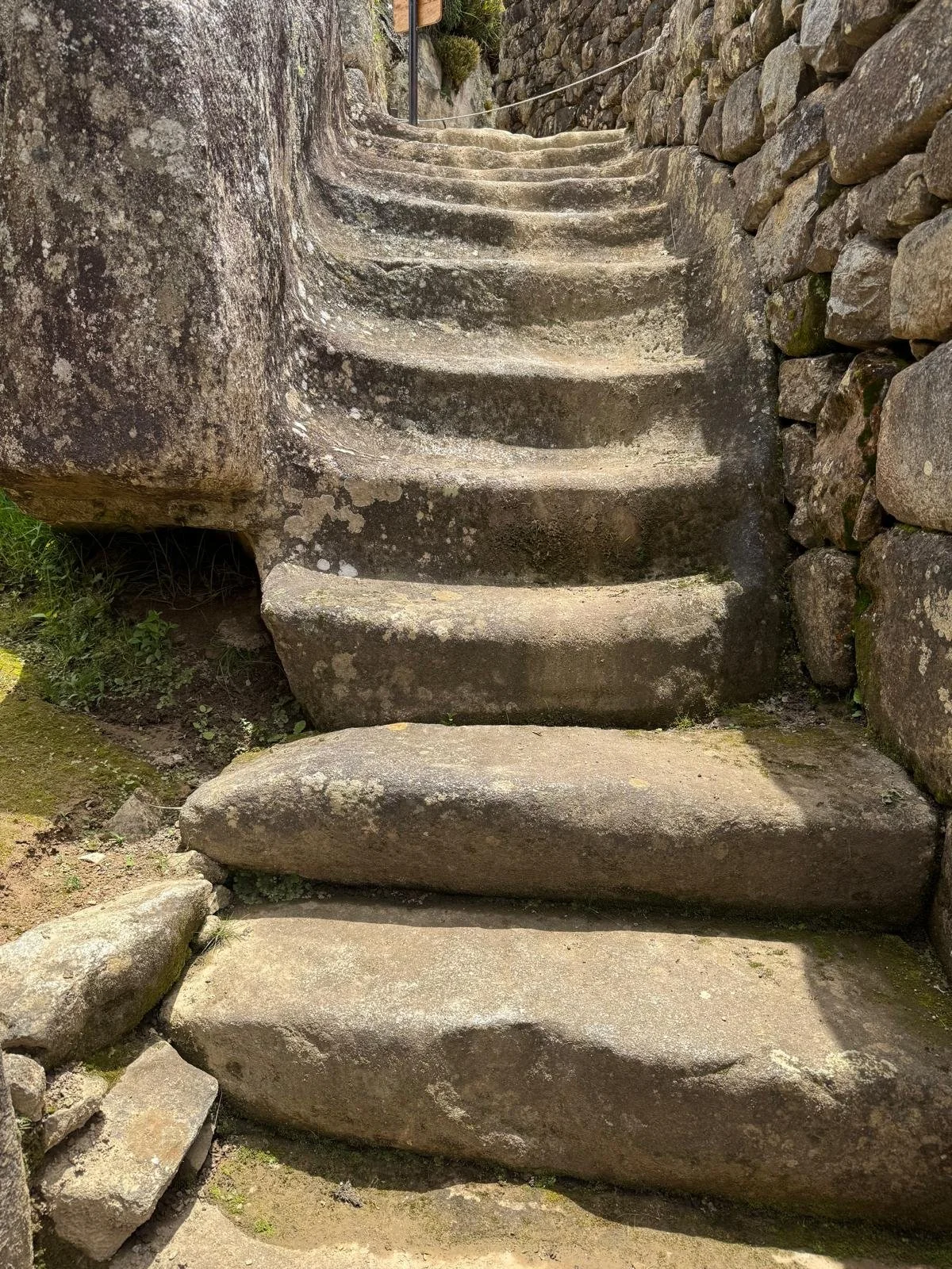 WhatsApp Image 2026-03-16 at 12.02.58 (7).jpeg