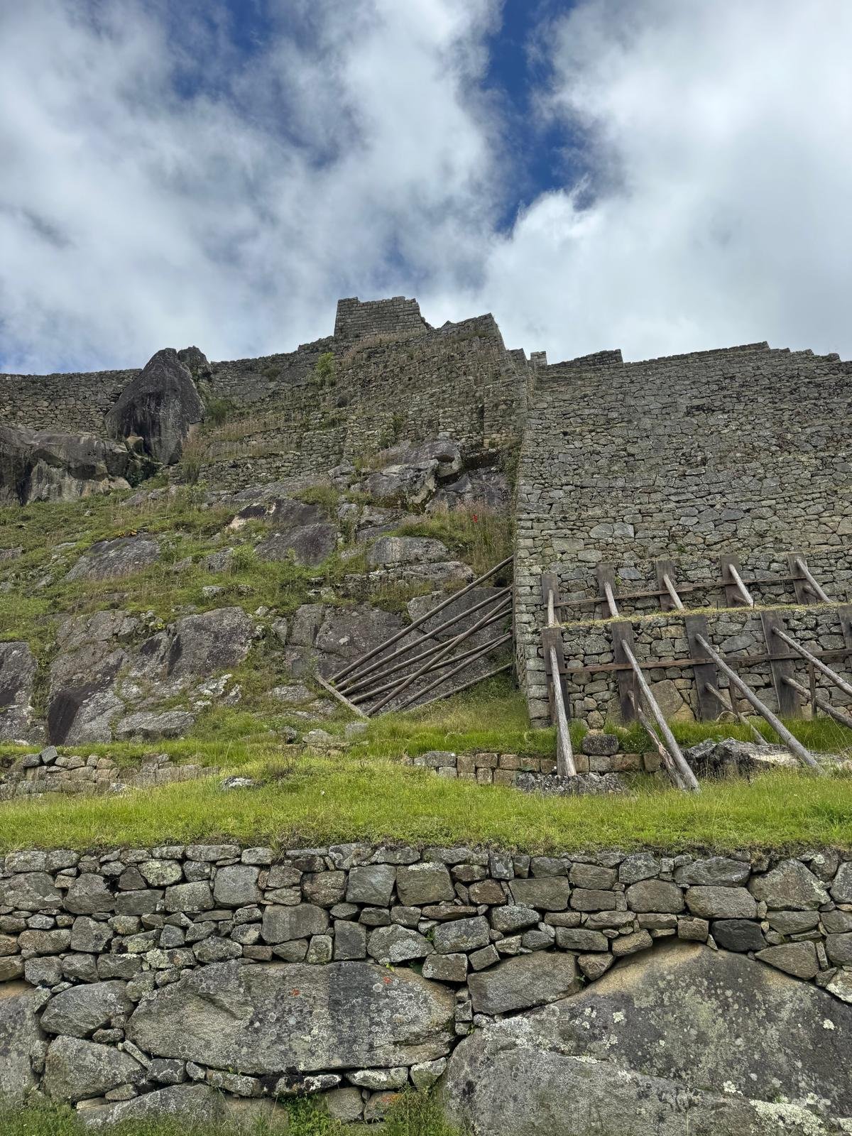 WhatsApp Image 2026-03-16 at 12.02.58 (5).jpeg