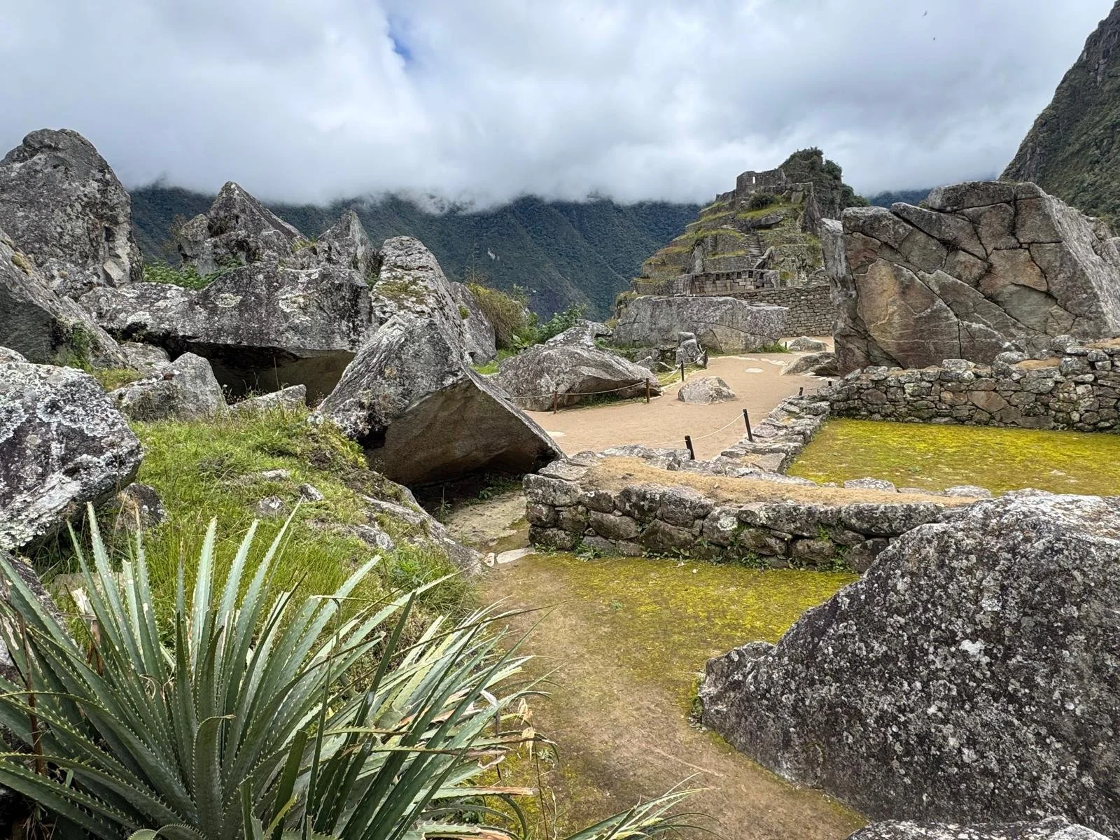 WhatsApp Image 2026-03-16 at 12.02.58 (3).jpeg