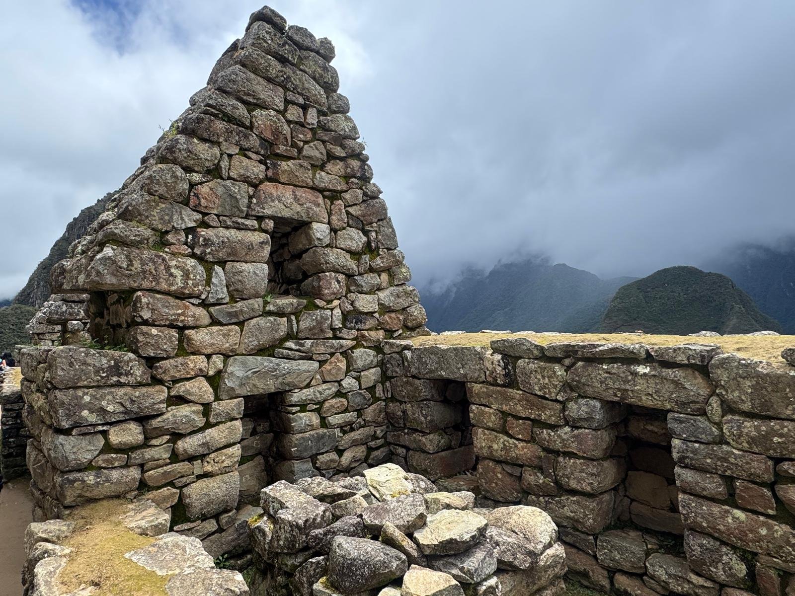 WhatsApp Image 2026-03-16 at 12.02.58 (2).jpeg