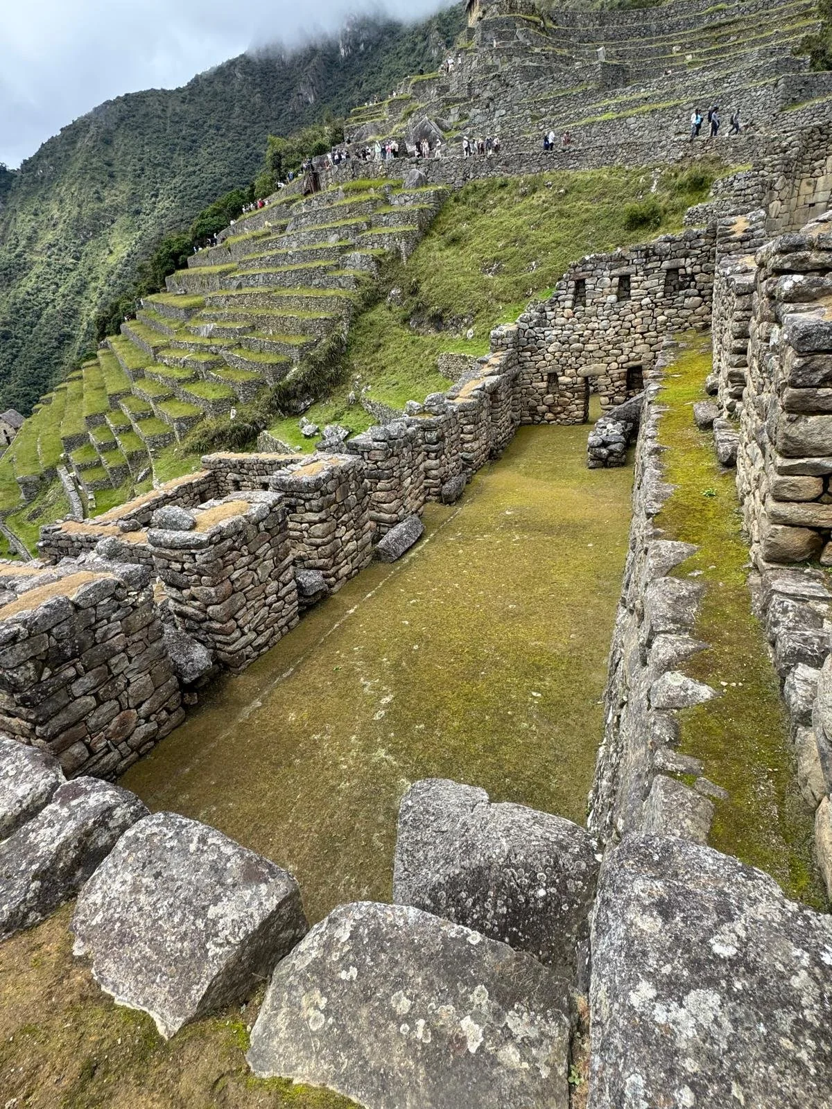 WhatsApp Image 2026-03-16 at 12.02.58 (1).jpeg