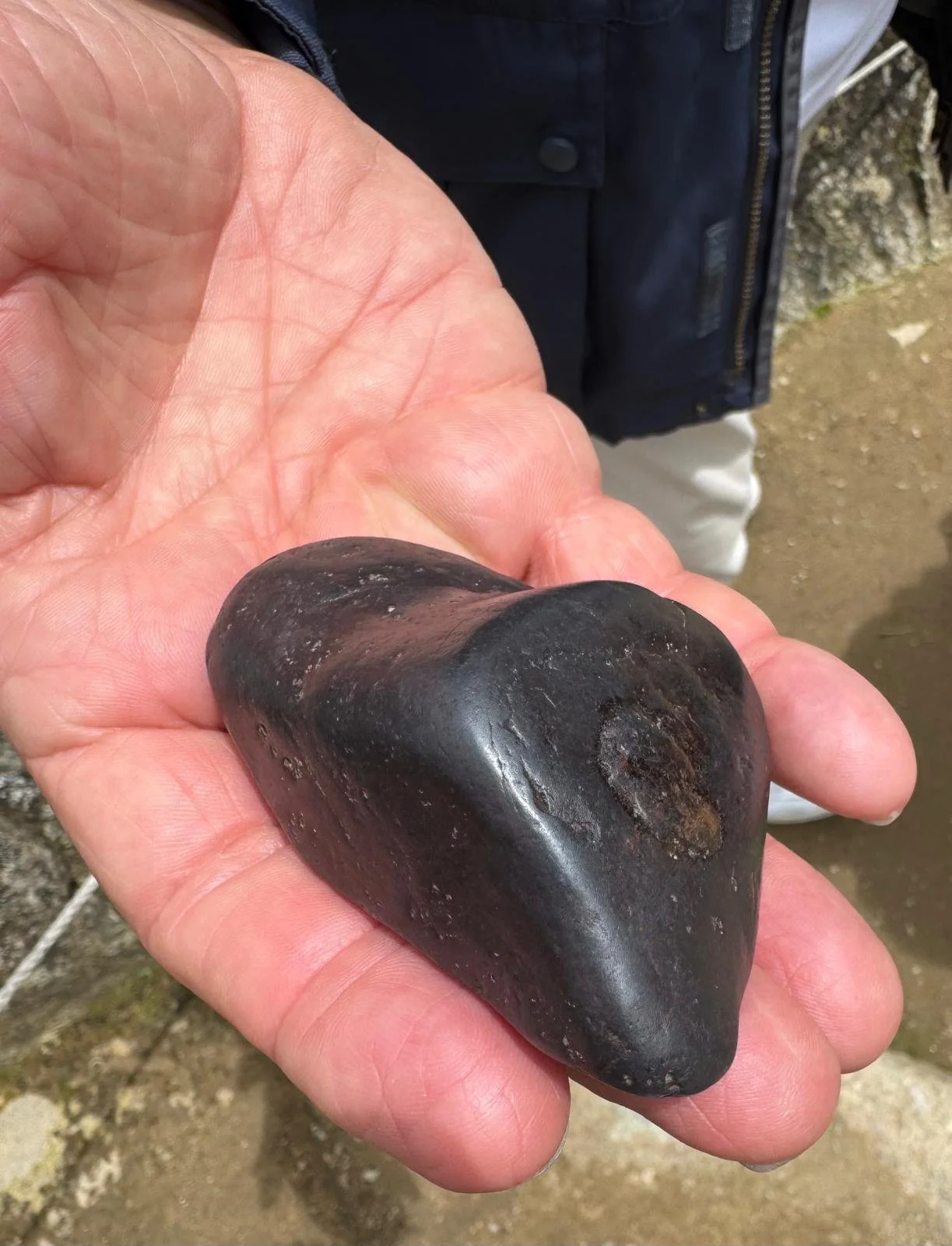 WhatsApp Image 2026-03-16 at 12.06.37 (1).jpeg