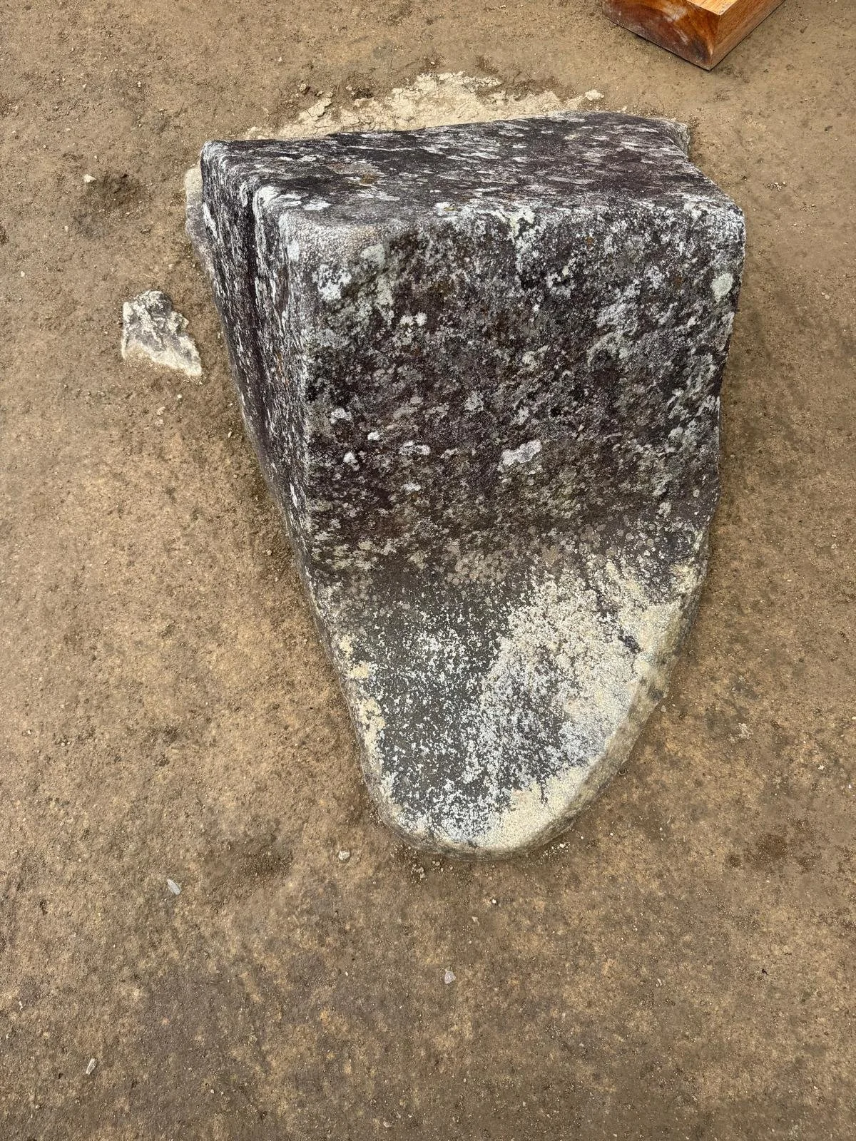 WhatsApp Image 2026-03-16 at 12.06.37.jpeg