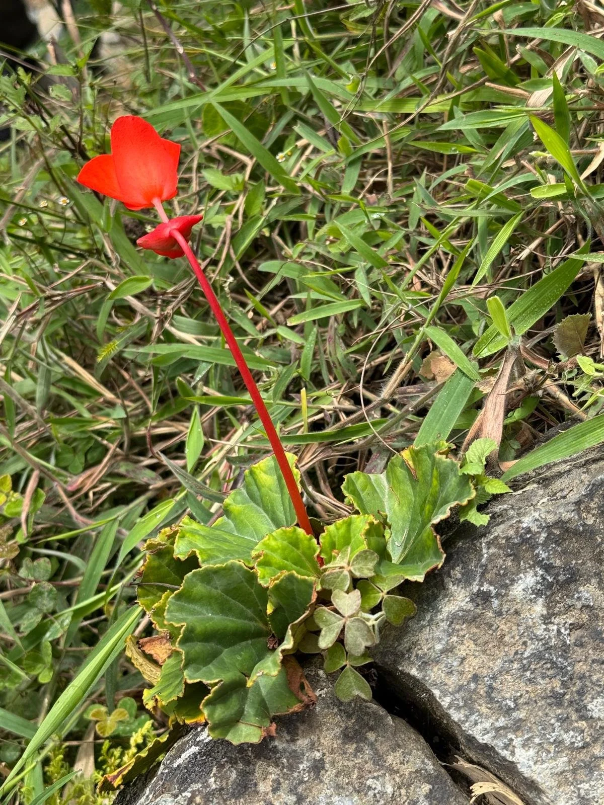 WhatsApp Image 2026-03-16 at 12.09.41.jpeg