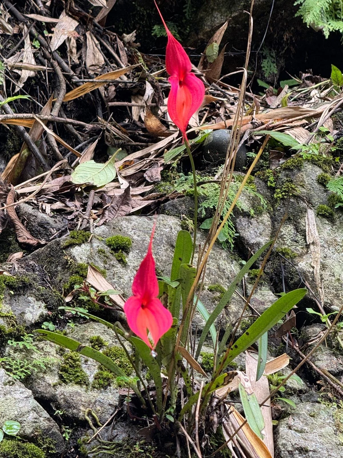 WhatsApp Image 2026-03-16 at 12.09.41 (3).jpeg