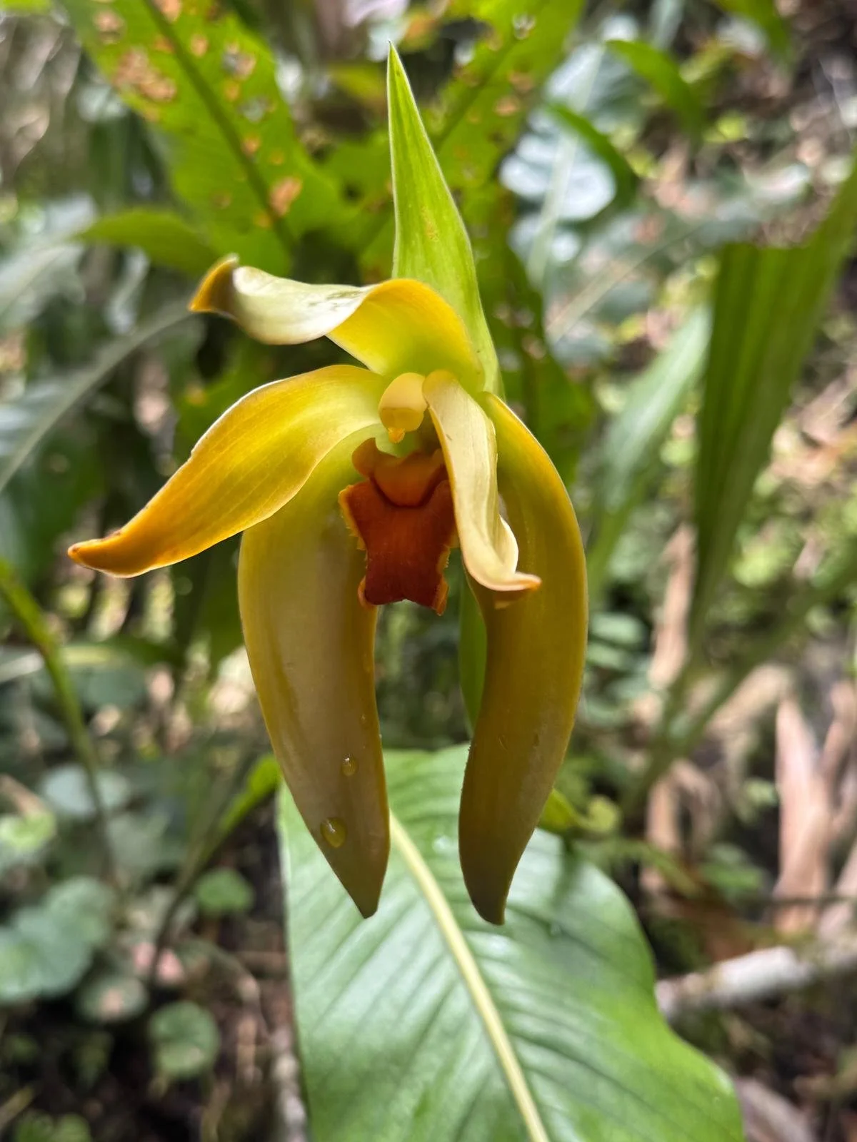 WhatsApp Image 2026-03-16 at 12.09.41 (2).jpeg