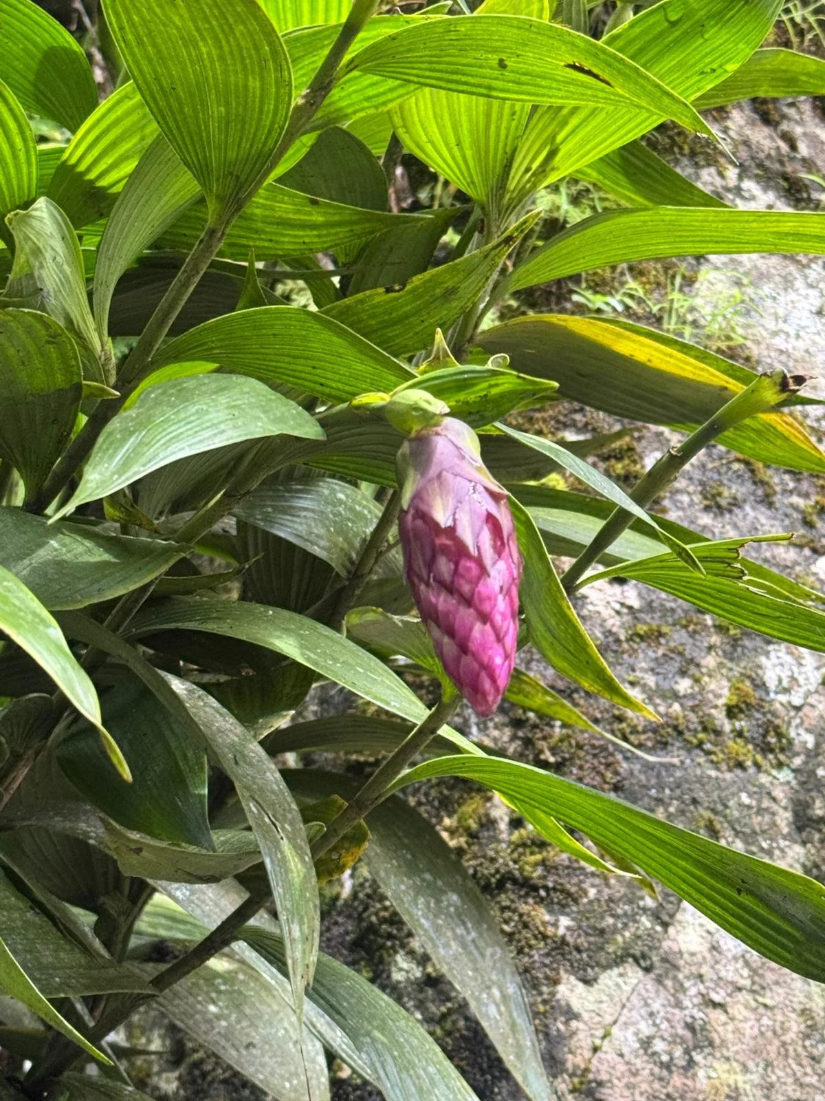 WhatsApp Image 2026-03-16 at 12.09.41 (1).jpeg