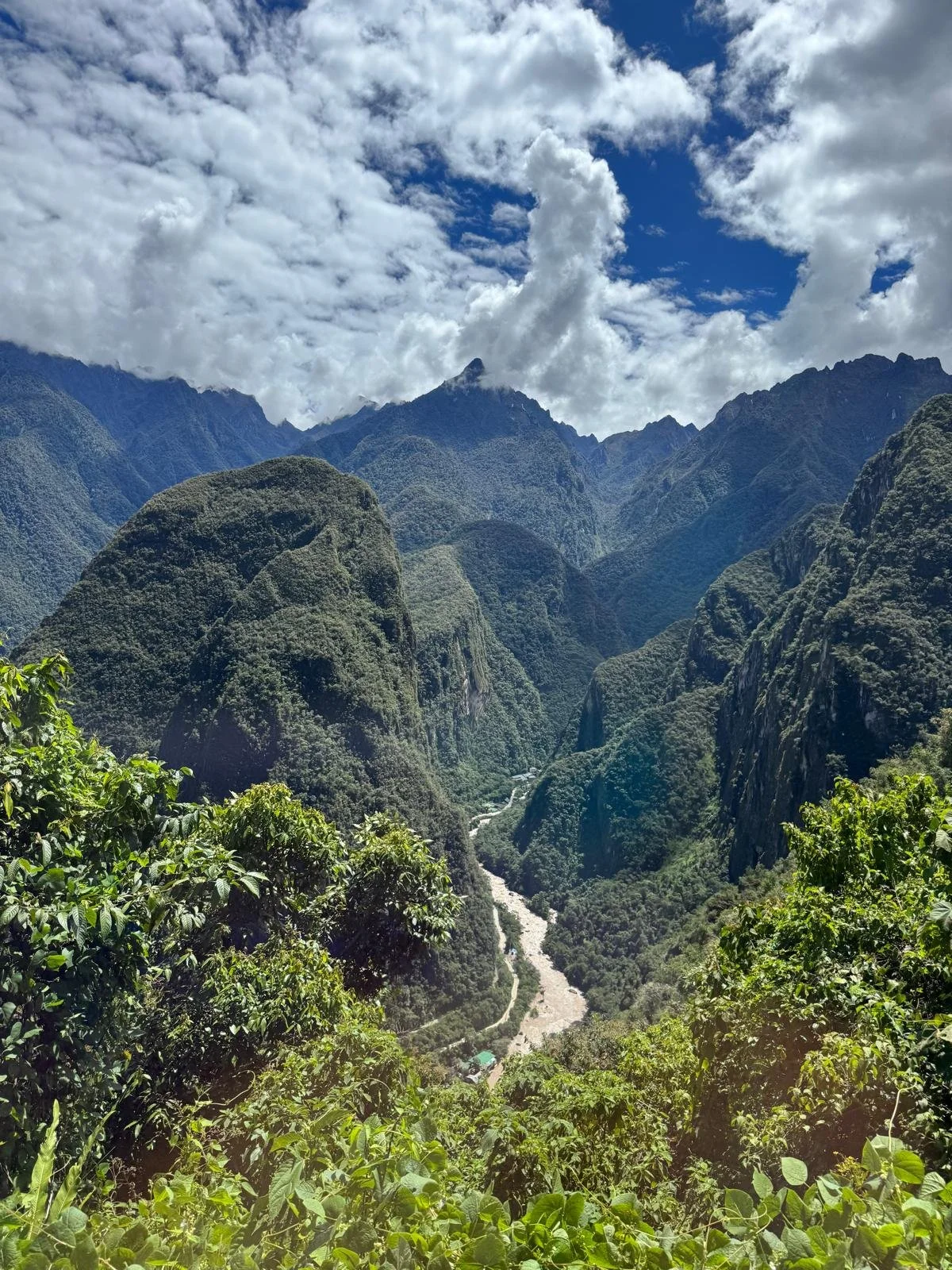 WhatsApp Image 2026-03-17 at 17.24.45.jpeg