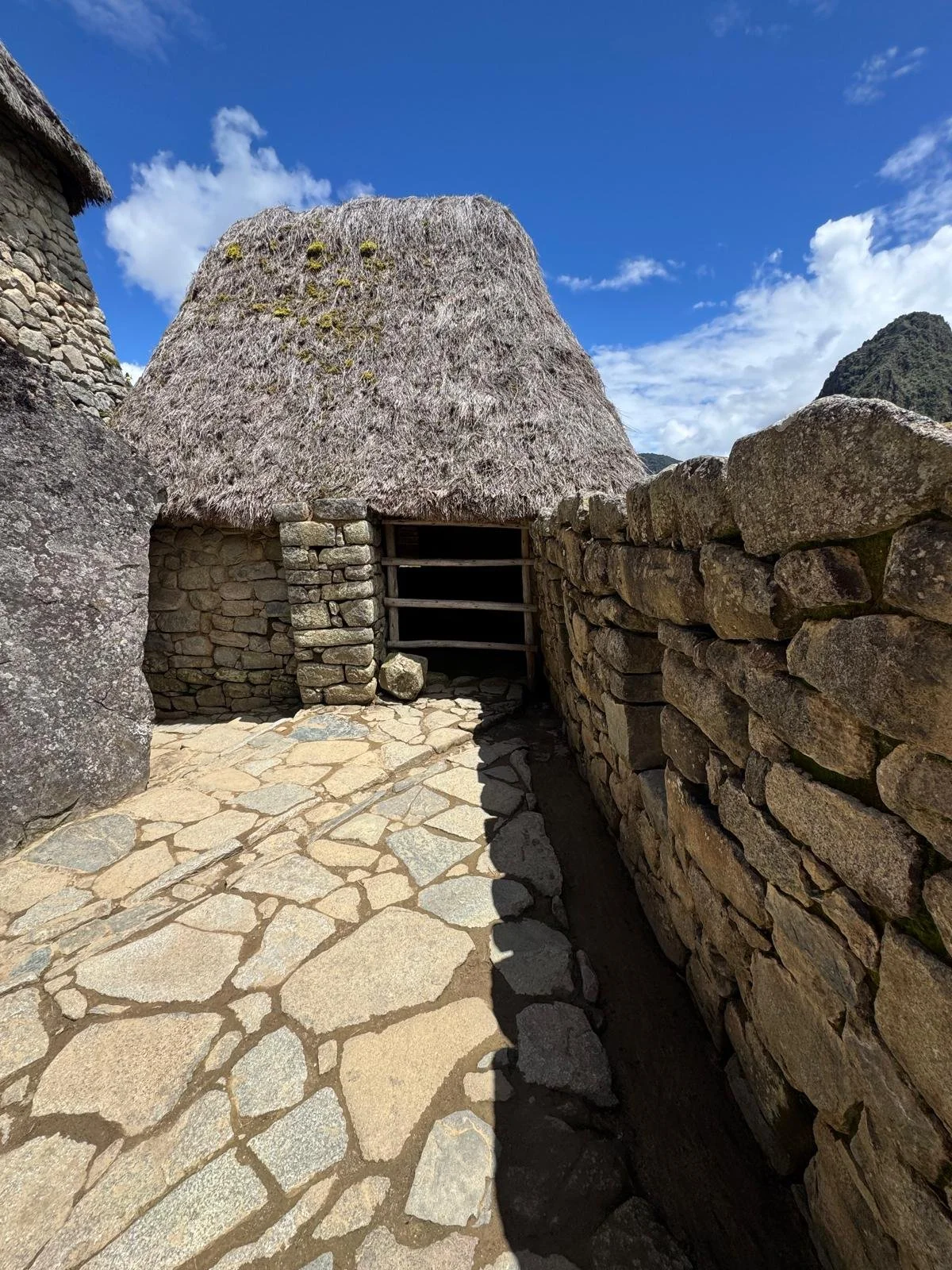 WhatsApp Image 2026-03-17 at 17.26.36.jpeg