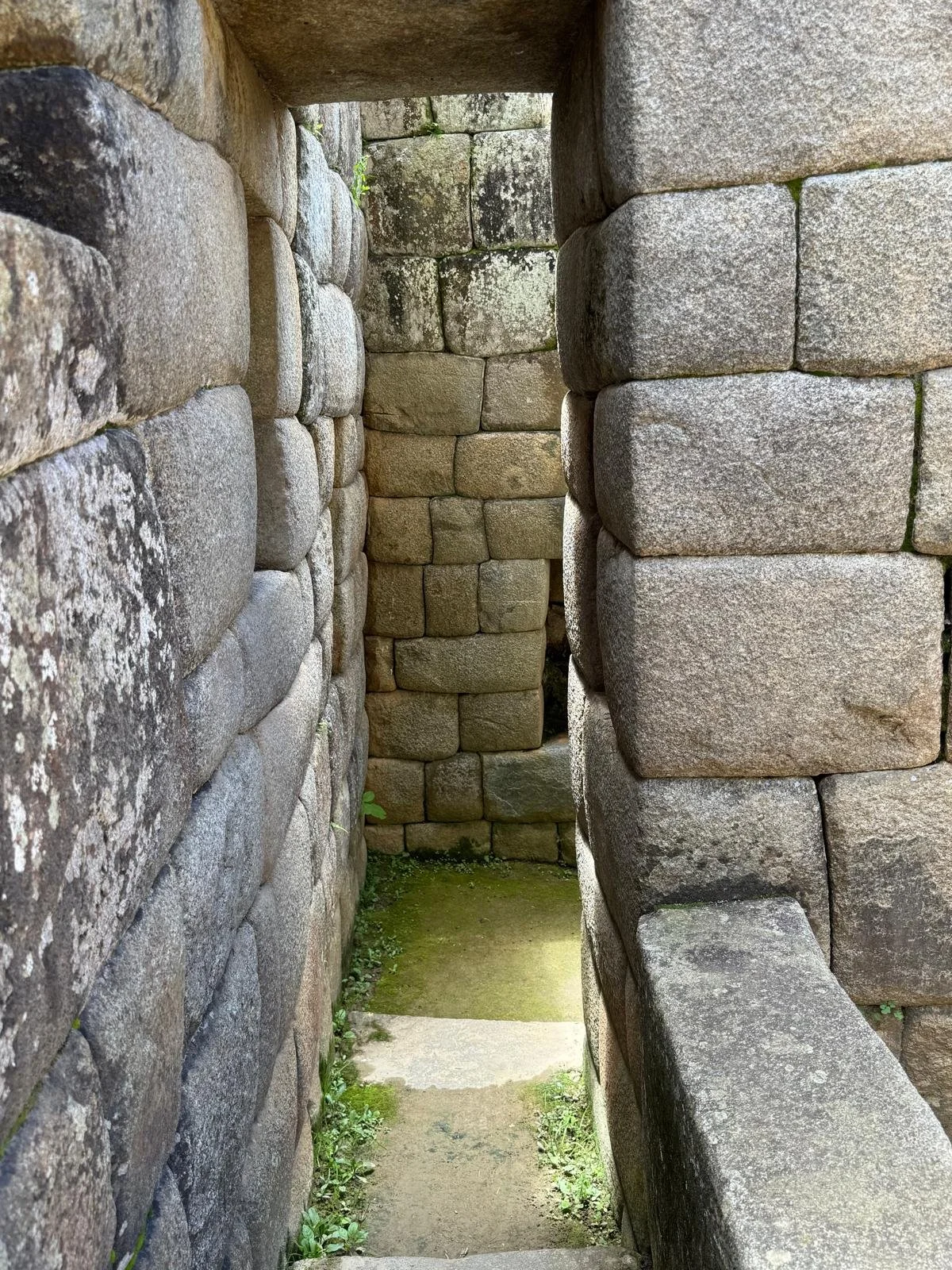 WhatsApp Image 2026-03-17 at 17.26.36 (2).jpeg