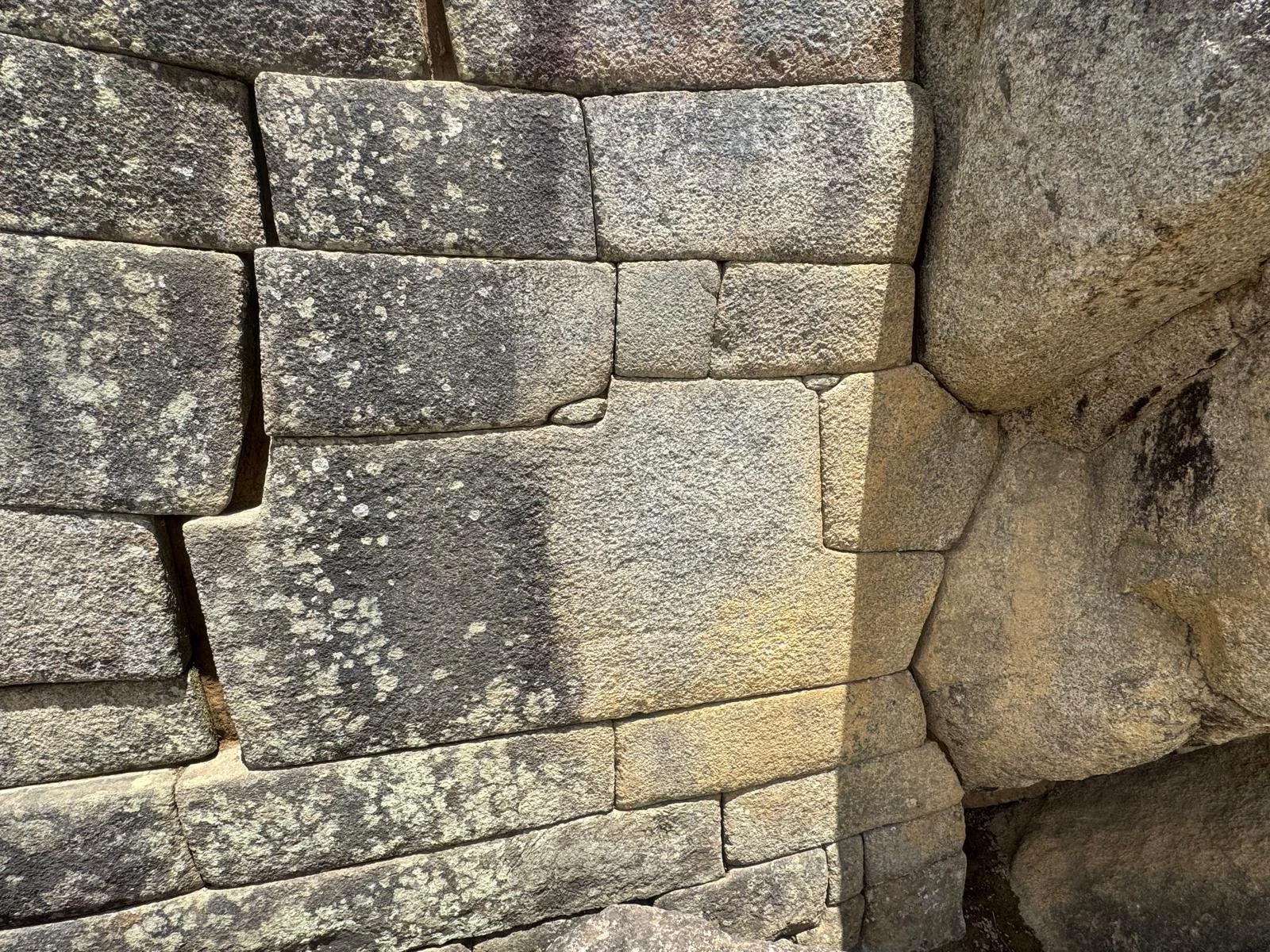 WhatsApp Image 2026-03-17 at 17.26.36 (1).jpeg