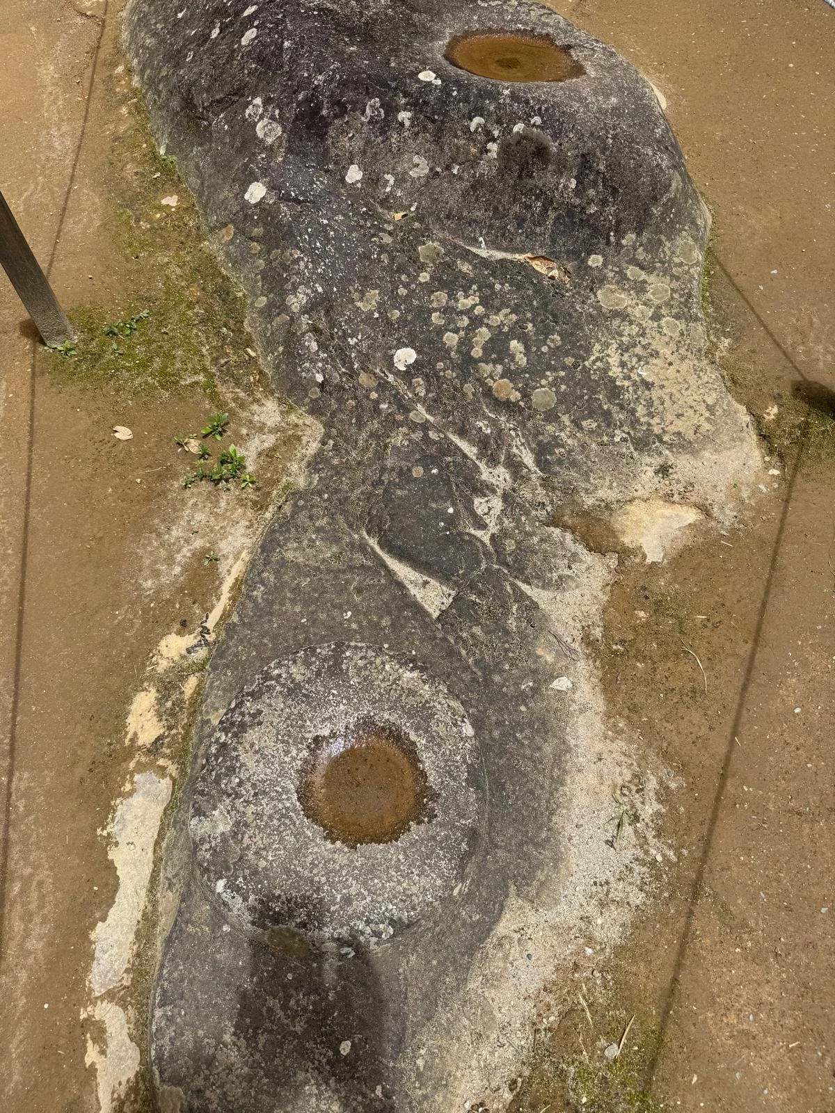 WhatsApp Image 2026-03-17 at 17.28.13.jpeg