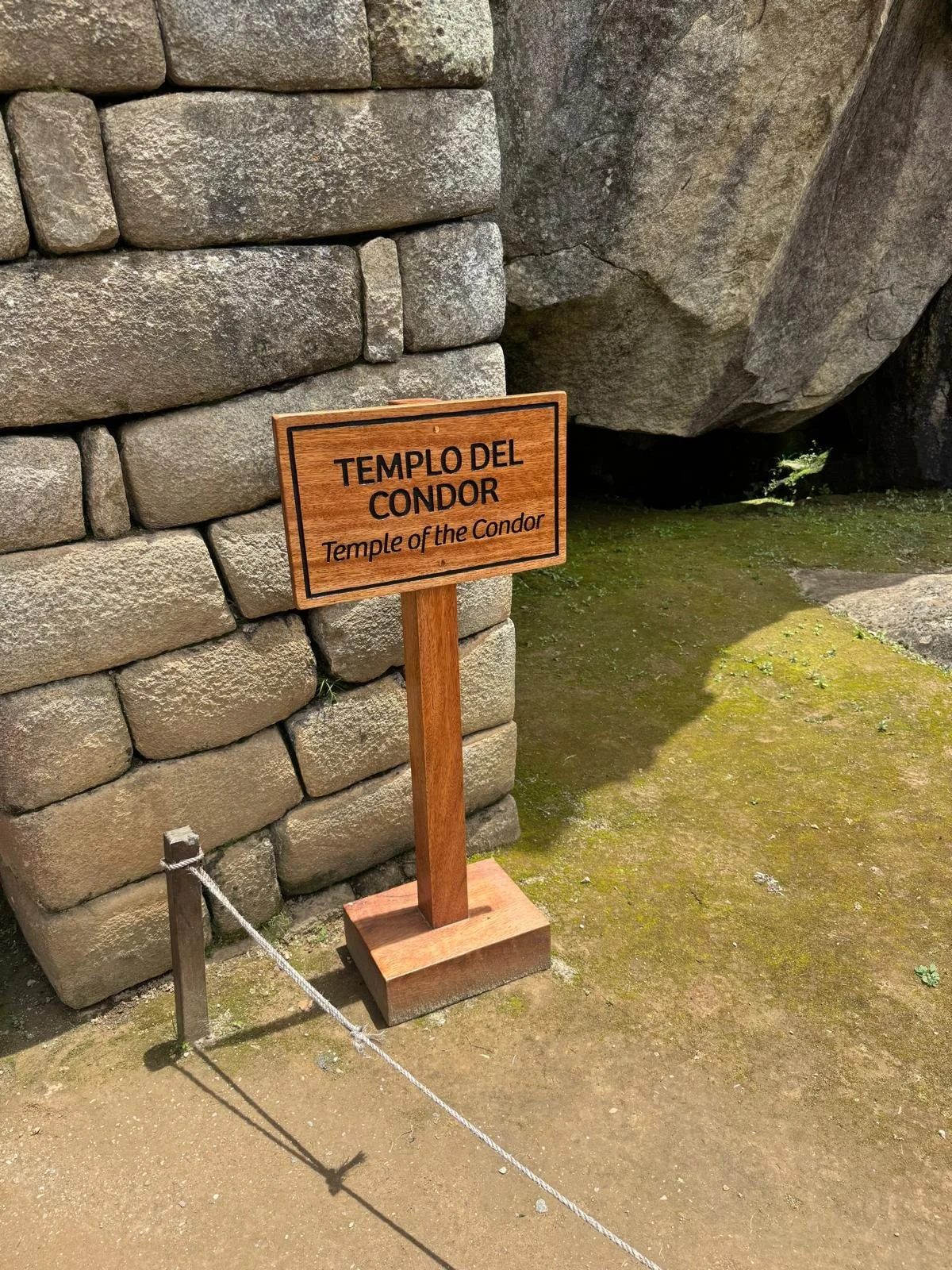 WhatsApp Image 2026-03-17 at 17.31.49 (1).jpeg