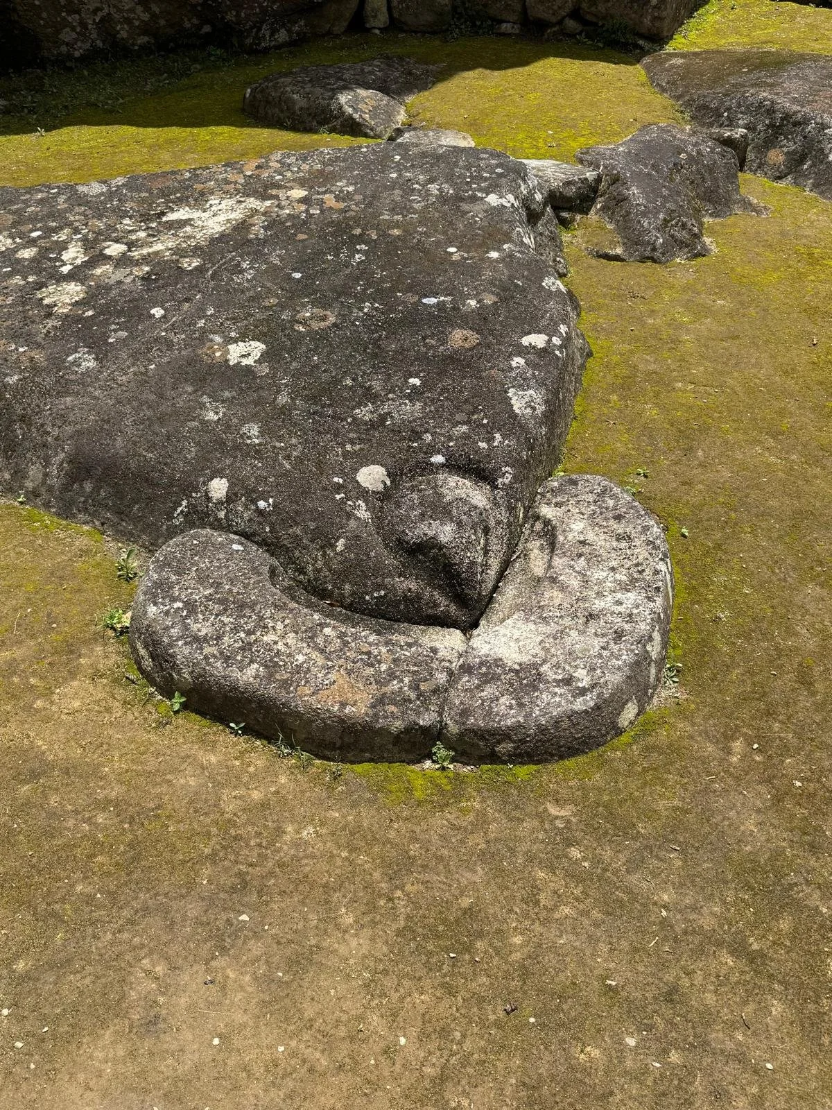 WhatsApp Image 2026-03-17 at 17.31.49 (2).jpeg