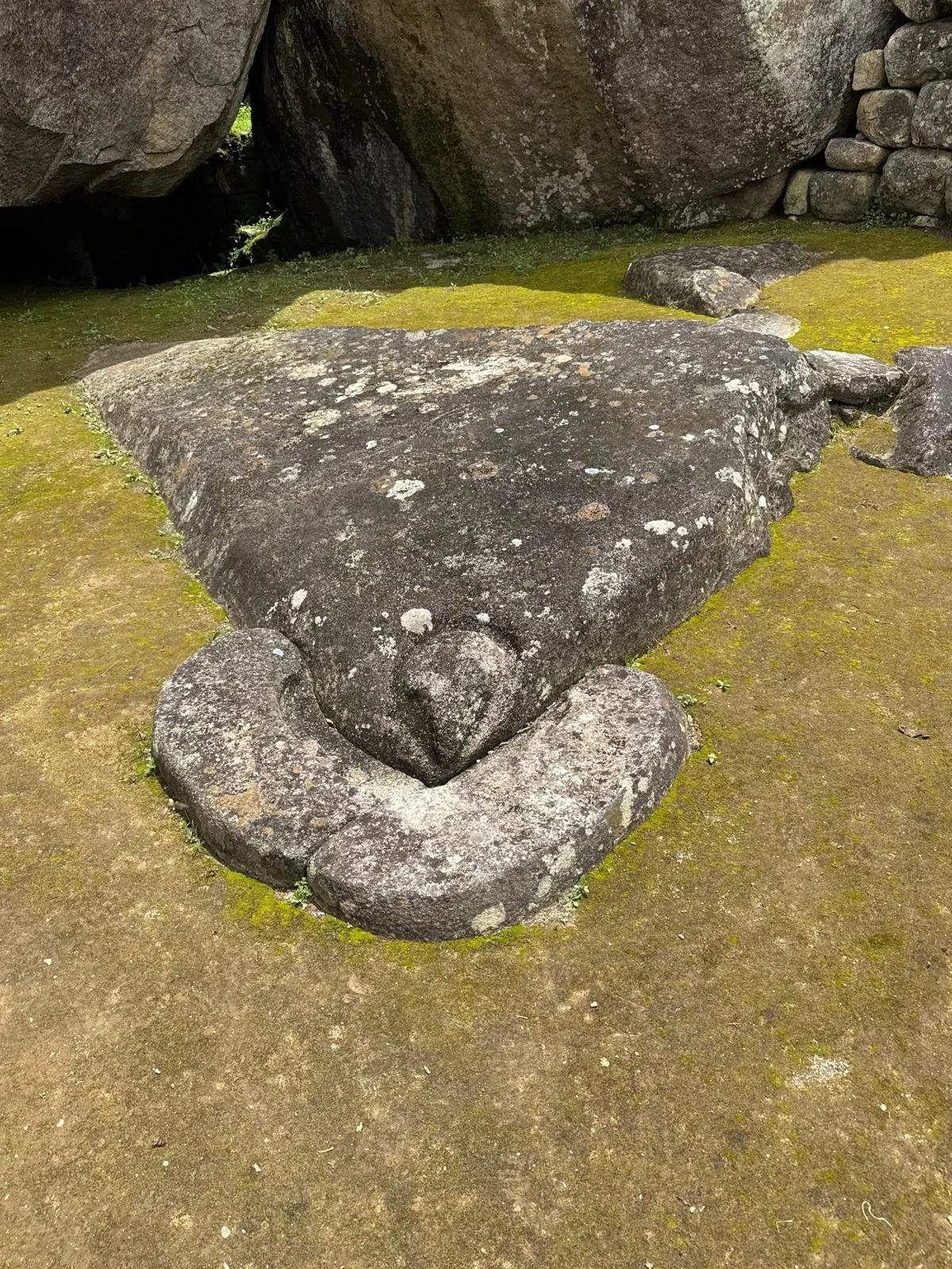 WhatsApp Image 2026-03-17 at 17.31.49.jpeg