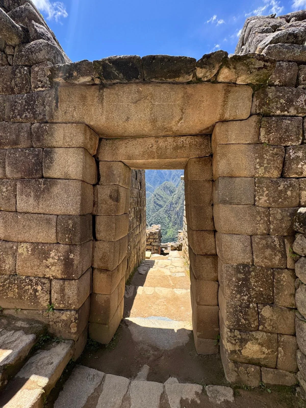 WhatsApp Image 2026-03-17 at 17.34.25 (2).jpeg