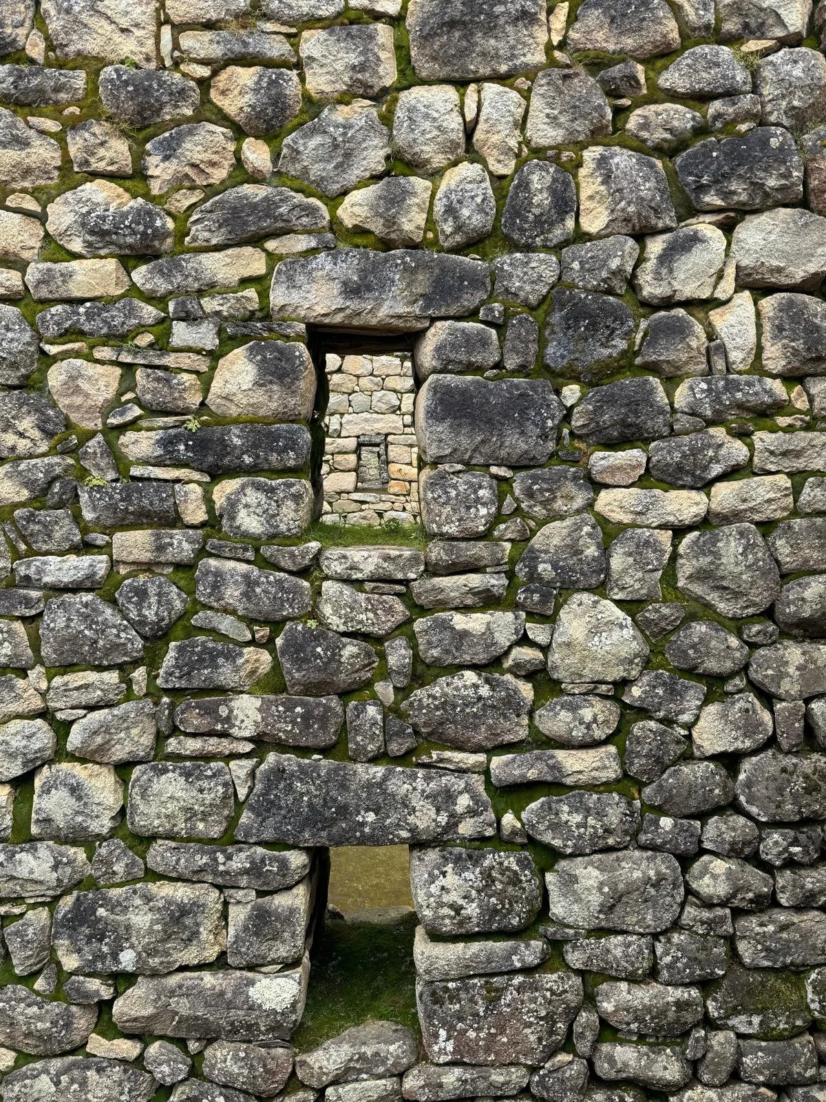 WhatsApp Image 2026-03-17 at 17.34.25.jpeg