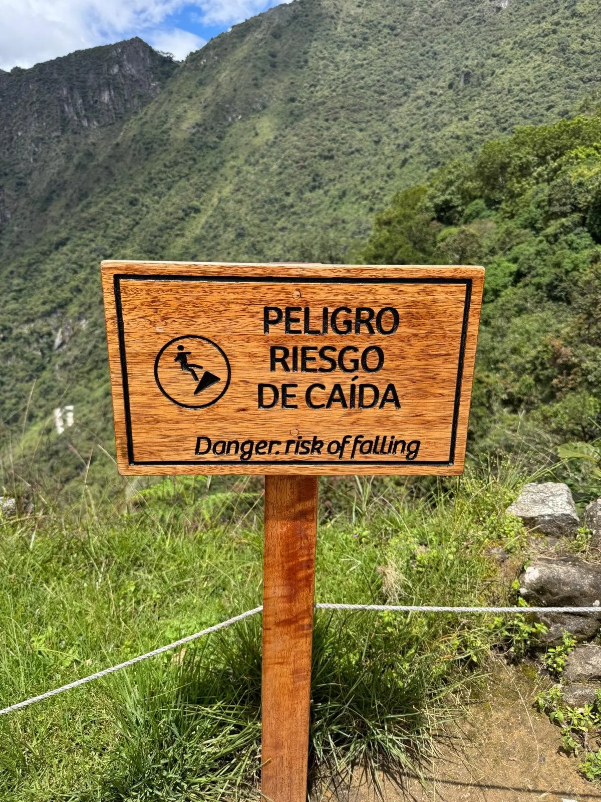 WhatsApp Image 2026-03-17 at 17.37.24.jpeg